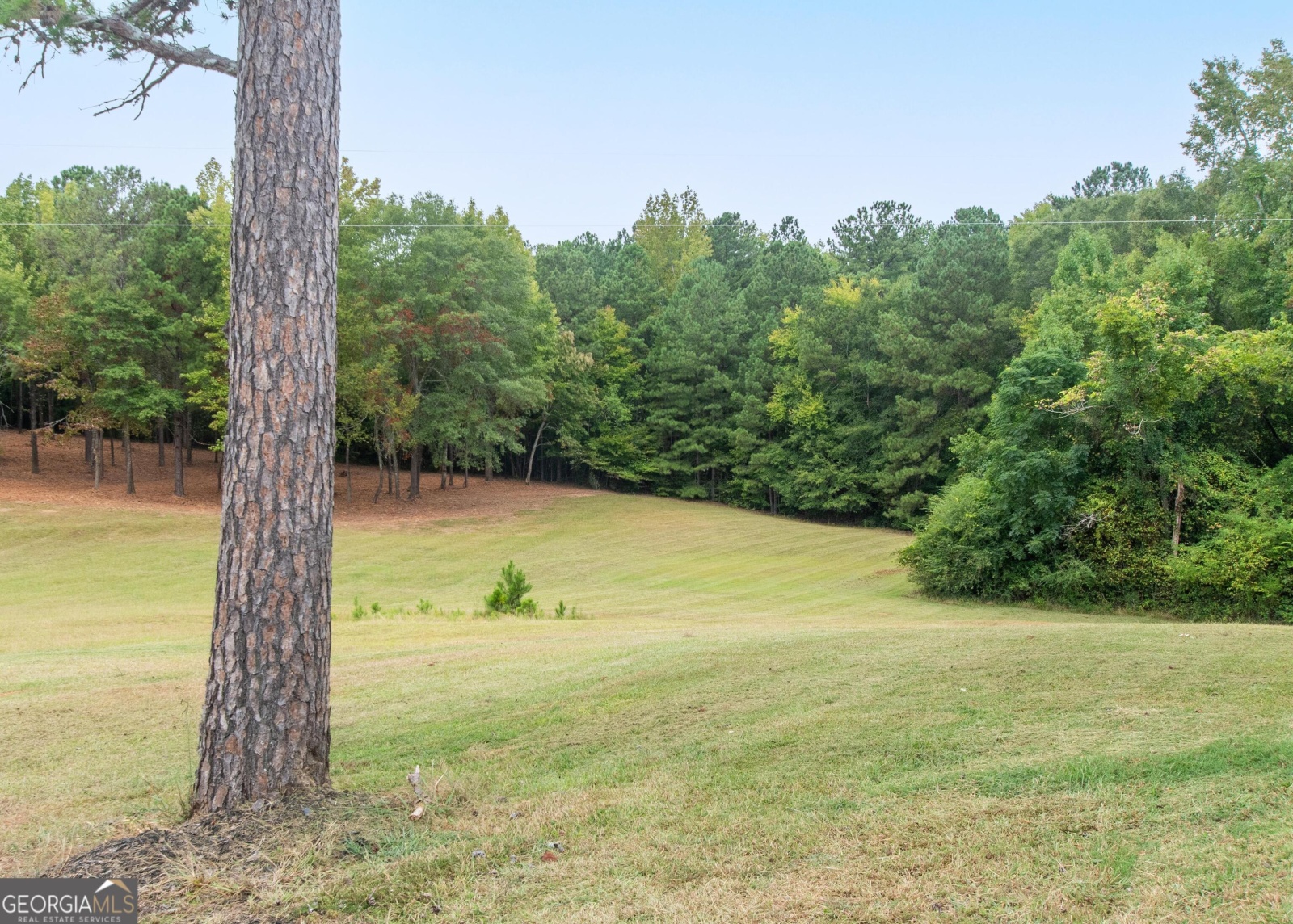 375 Luther Bailey Road, Senoia, Georgia 30276, 5 Bedrooms Bedrooms, ,4 BathroomsBathrooms,Residential,For Sale,Luther Bailey,9138465