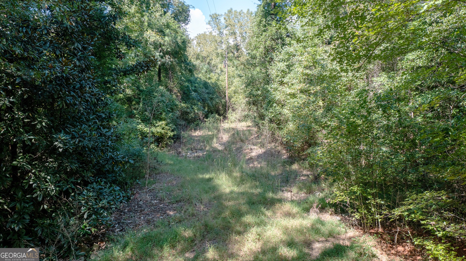 0 Whitehouse Parkway, Warm Springs, Georgia 31830, ,Land,For Sale,Whitehouse,9138480