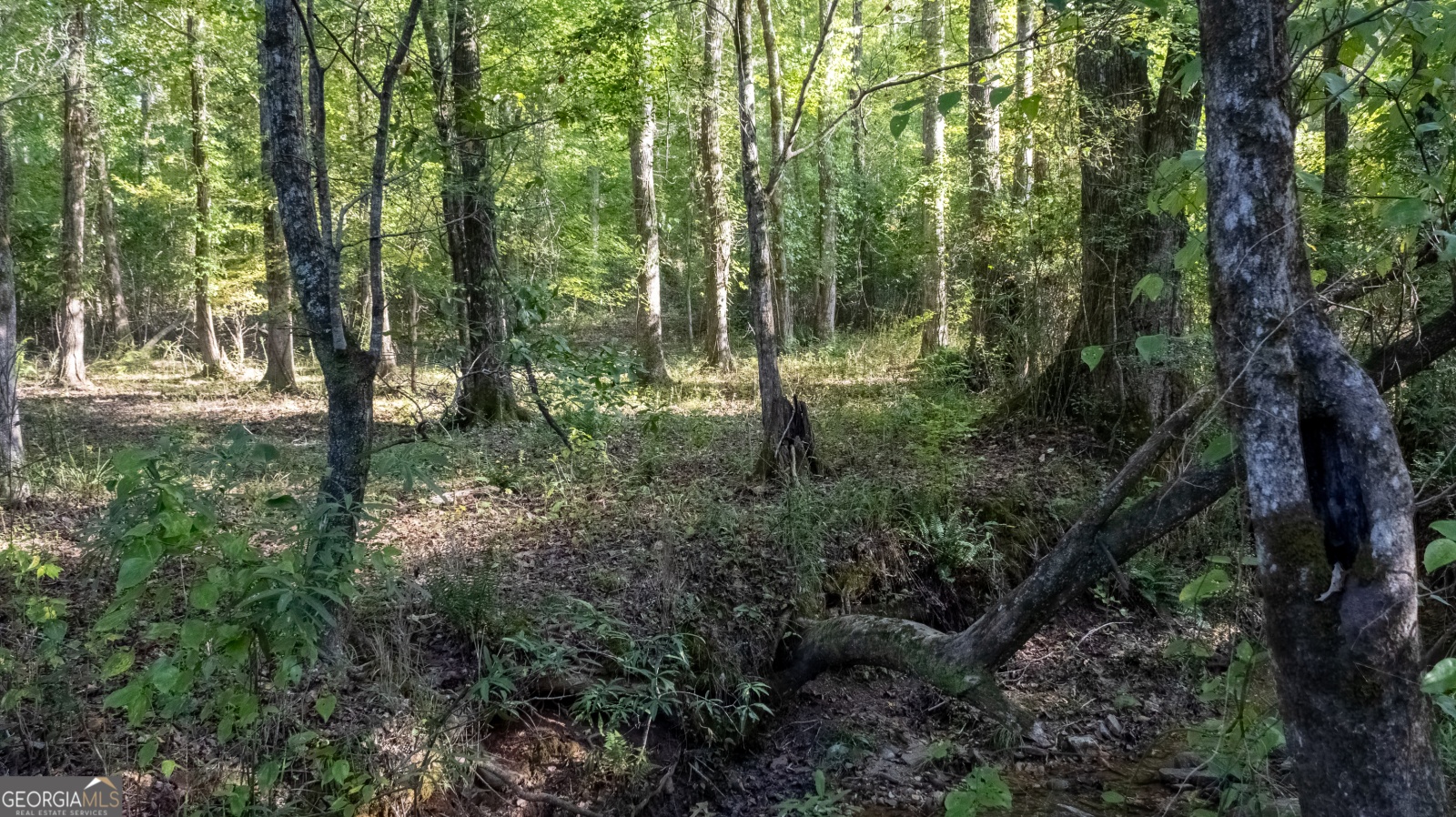 0 Whitehouse Parkway, Warm Springs, Georgia 31830, ,Land,For Sale,Whitehouse,9138480