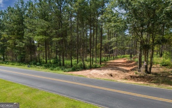 00 Notnomis Road, Franklin, Georgia 30217, ,Land,For Sale,Notnomis,9138522