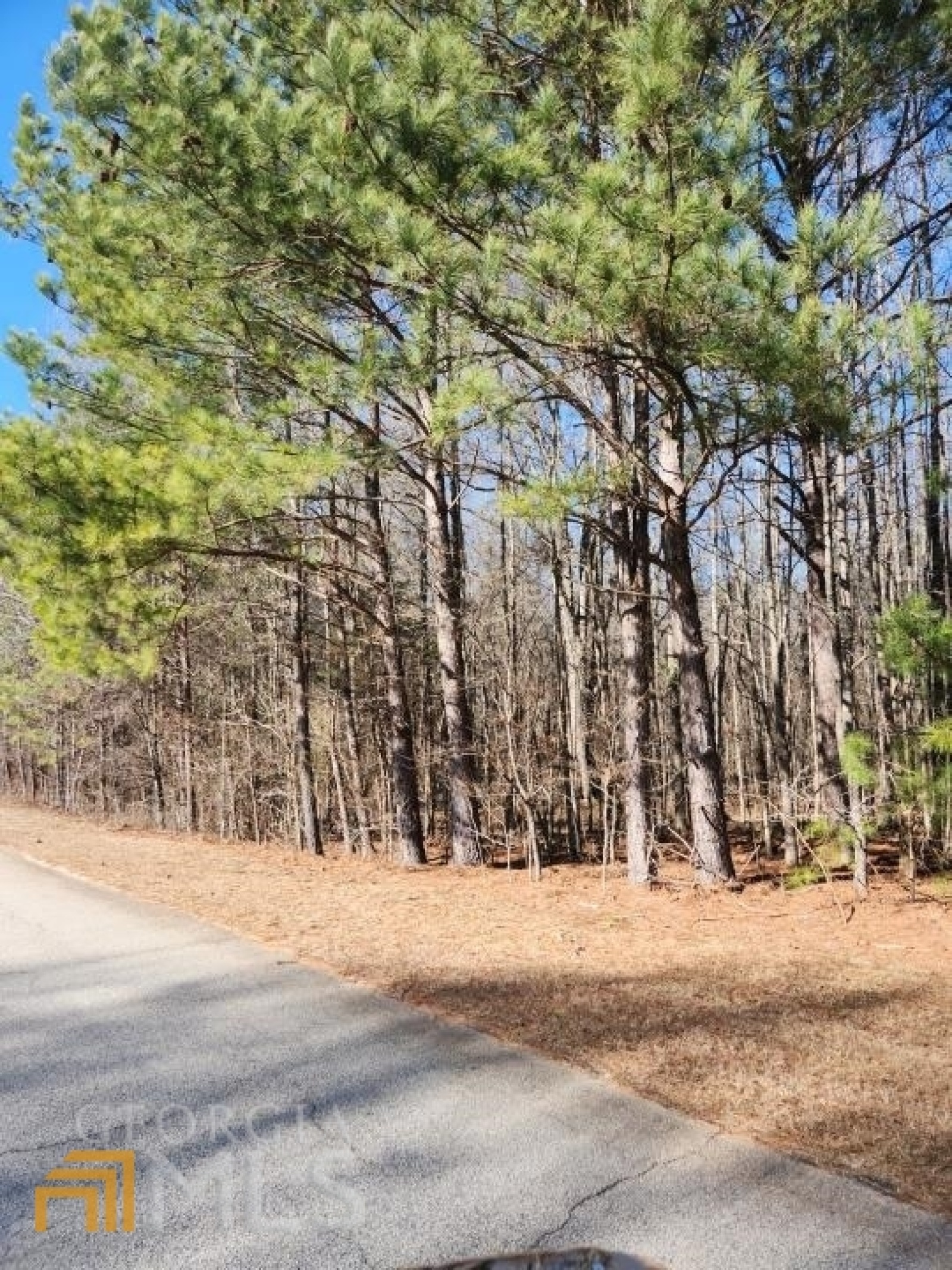 160 Green Meadow Lane, Fayetteville, Georgia 30215, ,Land,For Sale,Green Meadow,9138559