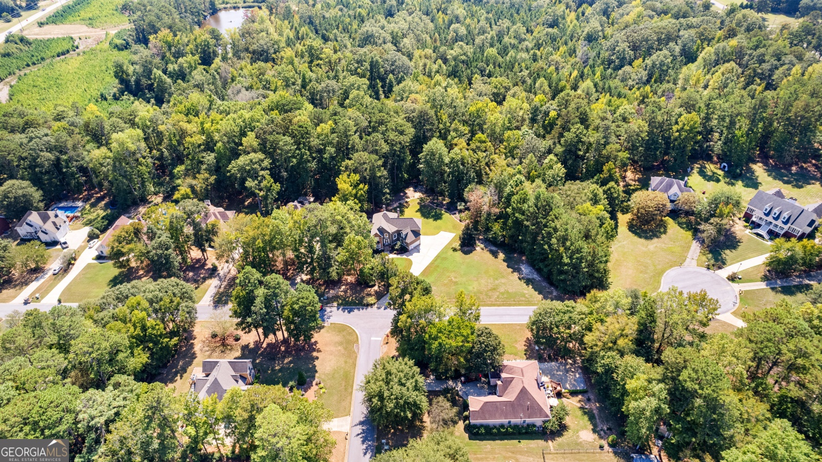 70 Braves Crossing Drive, Sharpsburg, Georgia 30277, 4 Bedrooms Bedrooms, ,3 BathroomsBathrooms,Residential,For Sale,Braves Crossing,9138591