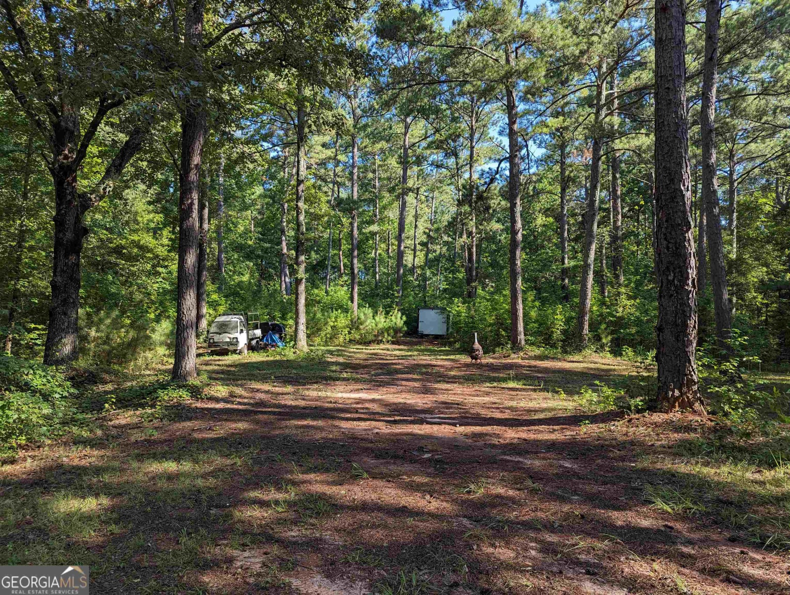 LOT 1 Joe Roberts Road, Newnan, Georgia 30263, ,Land,For Sale,Joe Roberts,9138617