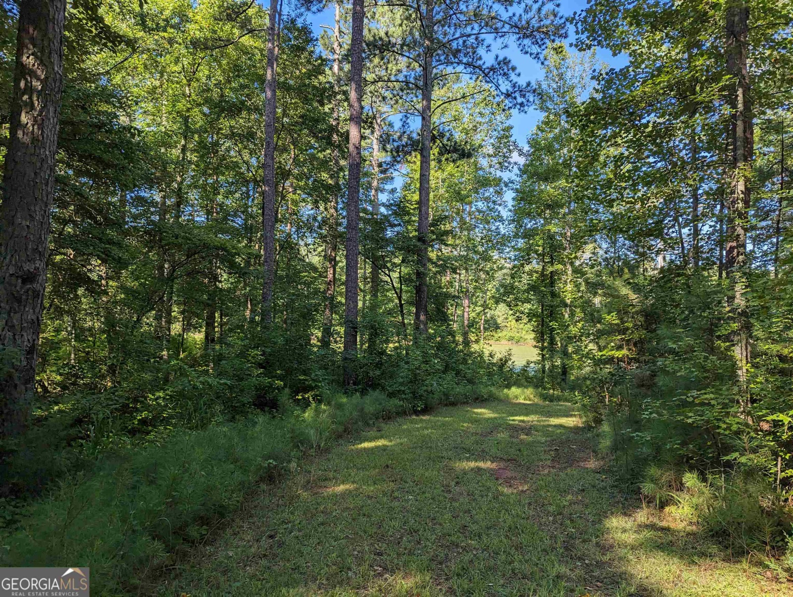 LOT 1 Joe Roberts Road, Newnan, Georgia 30263, ,Land,For Sale,Joe Roberts,9138617