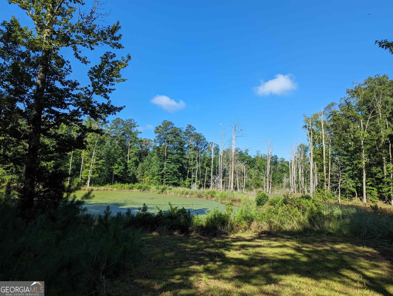 LOT 1 Joe Roberts Road, Newnan, Georgia 30263, ,Land,For Sale,Joe Roberts,9138617