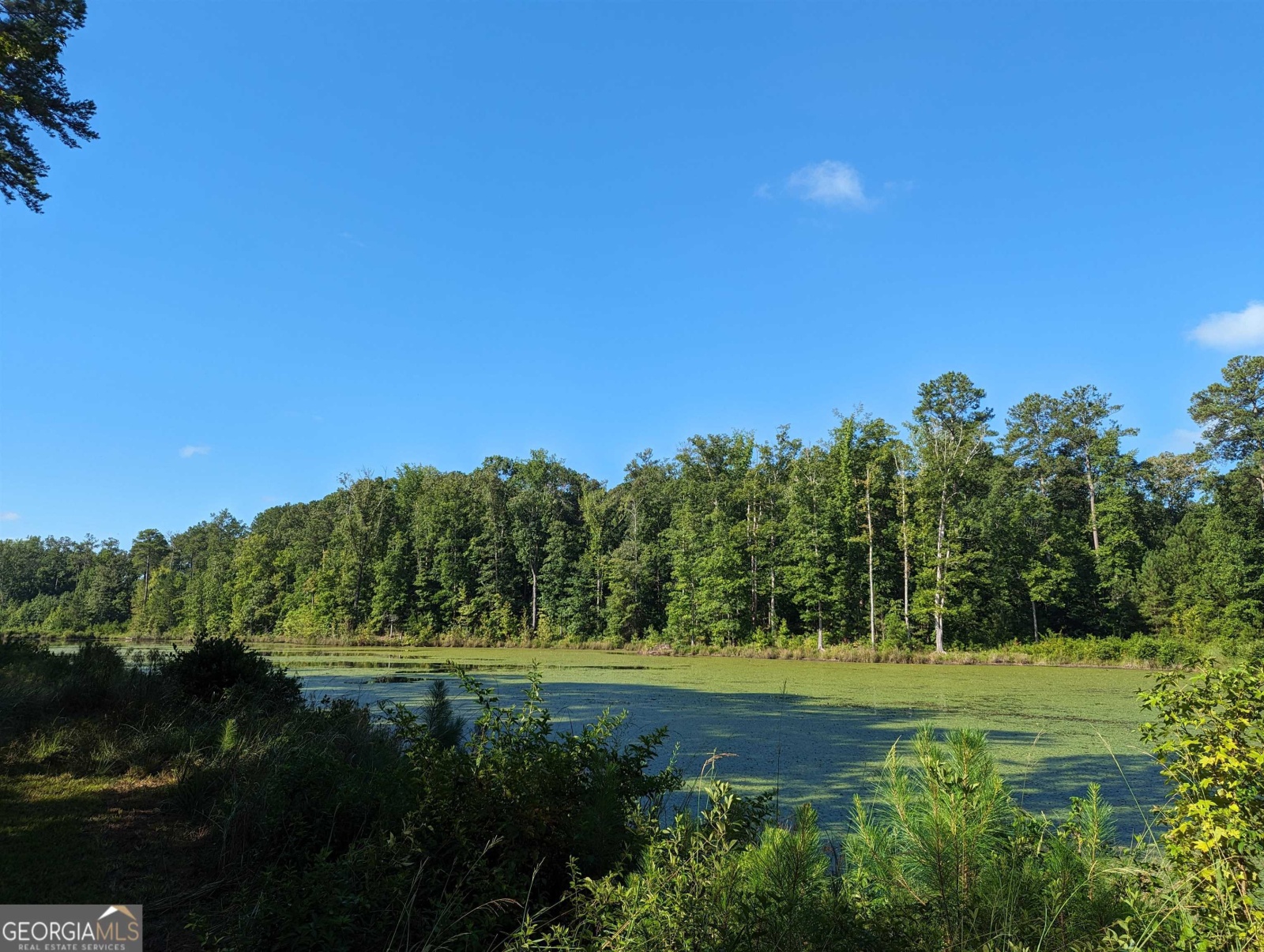 LOT 1 Joe Roberts Road, Newnan, Georgia 30263, ,Land,For Sale,Joe Roberts,9138617