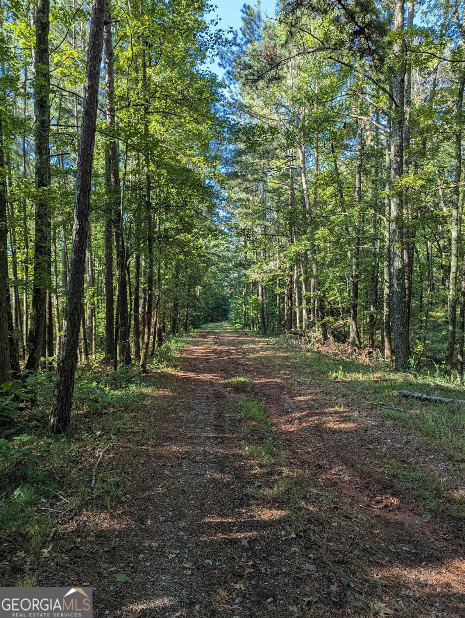 LOT 1 Joe Roberts Road, Newnan, Georgia 30263, ,Land,For Sale,Joe Roberts,9138617