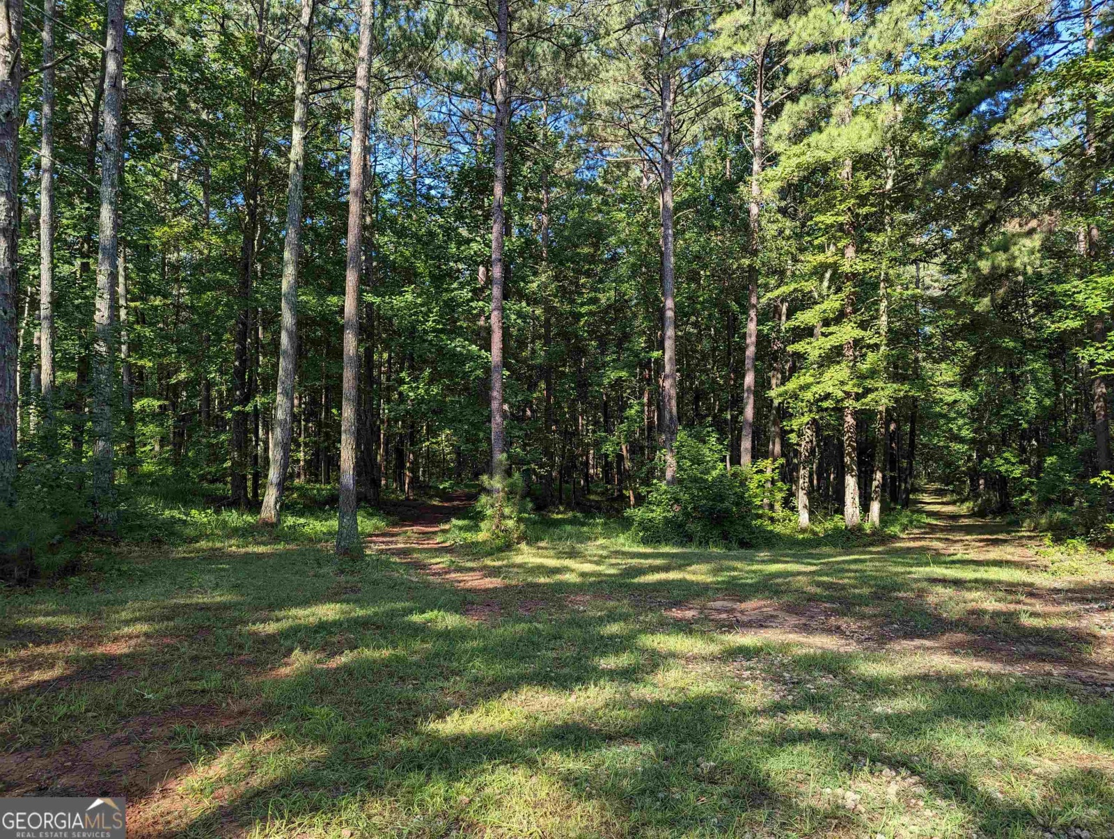 LOT 1 Joe Roberts Road, Newnan, Georgia 30263, ,Land,For Sale,Joe Roberts,9138617