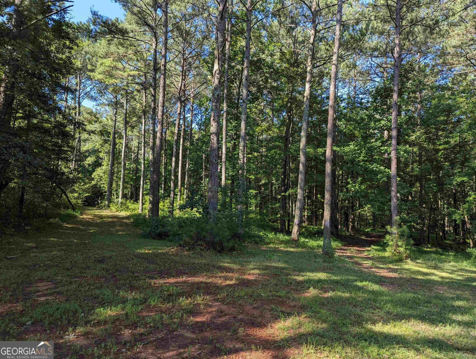 LOT 1 Joe Roberts Road, Newnan, Georgia 30263, ,Land,For Sale,Joe Roberts,9138617