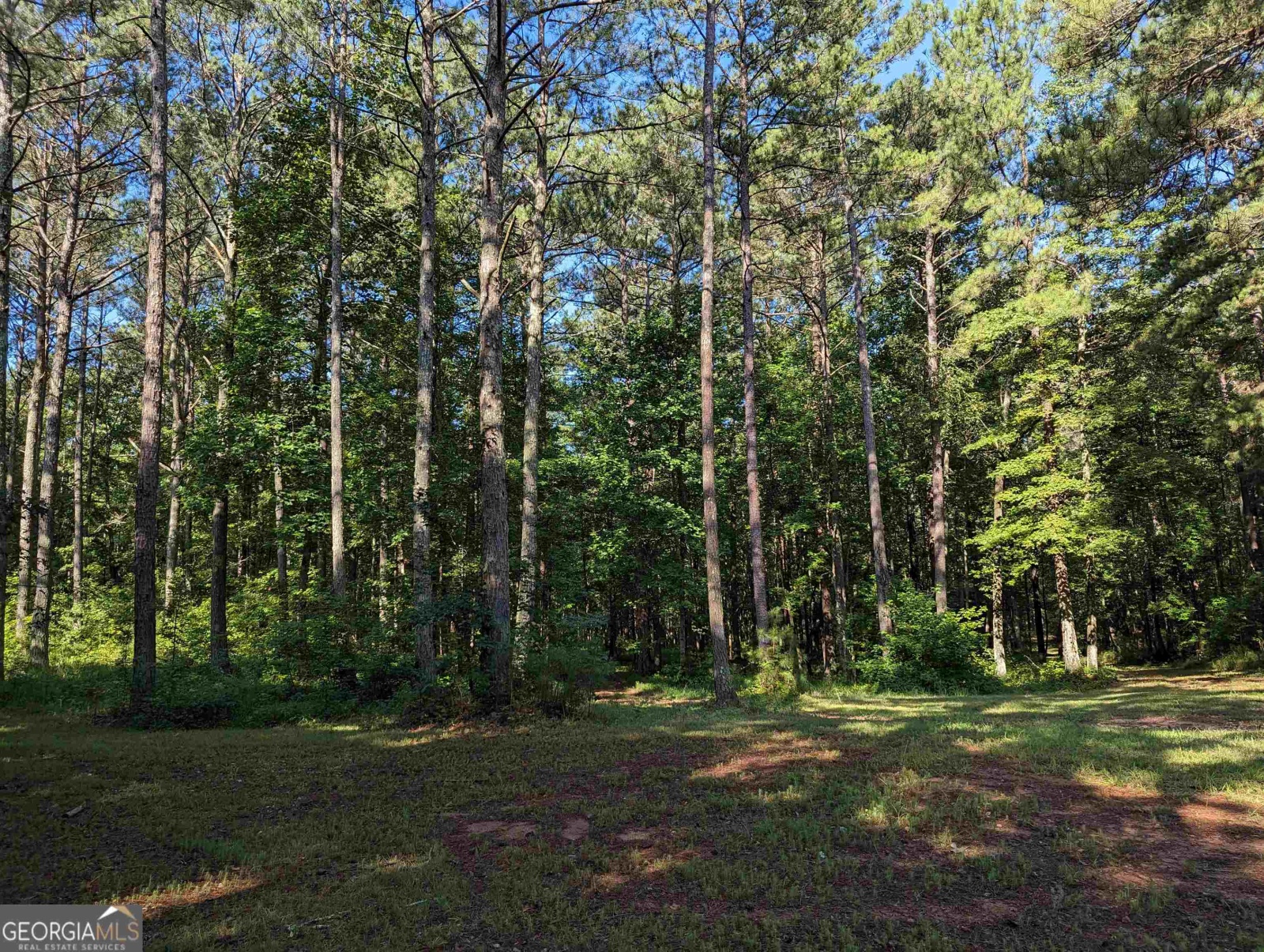 LOT 1 Joe Roberts Road, Newnan, Georgia 30263, ,Land,For Sale,Joe Roberts,9138617