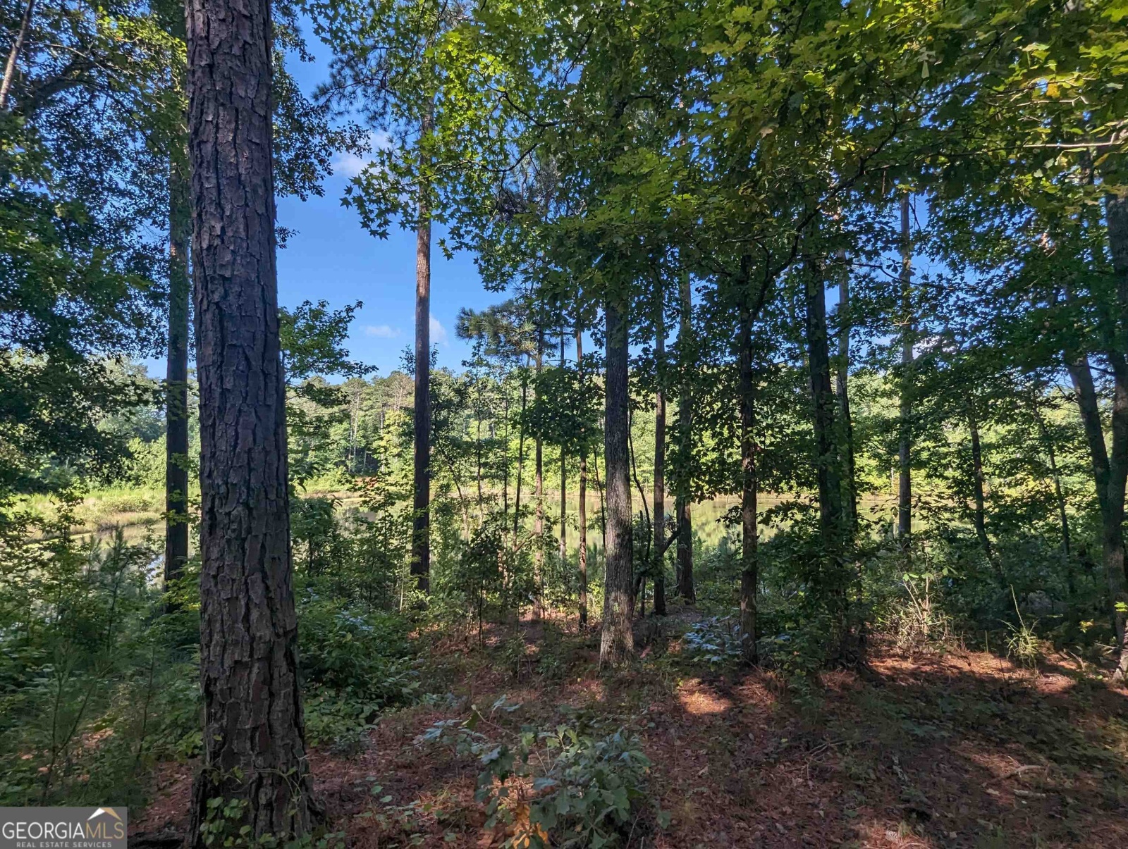 LOT 3 Joe Roberts Road, Newnan, Georgia 30263, ,Land,For Sale,Joe Roberts,9138618