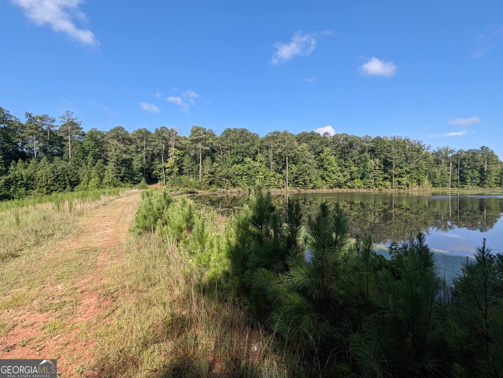 LOT 3 Joe Roberts Road, Newnan, Georgia 30263, ,Land,For Sale,Joe Roberts,9138618