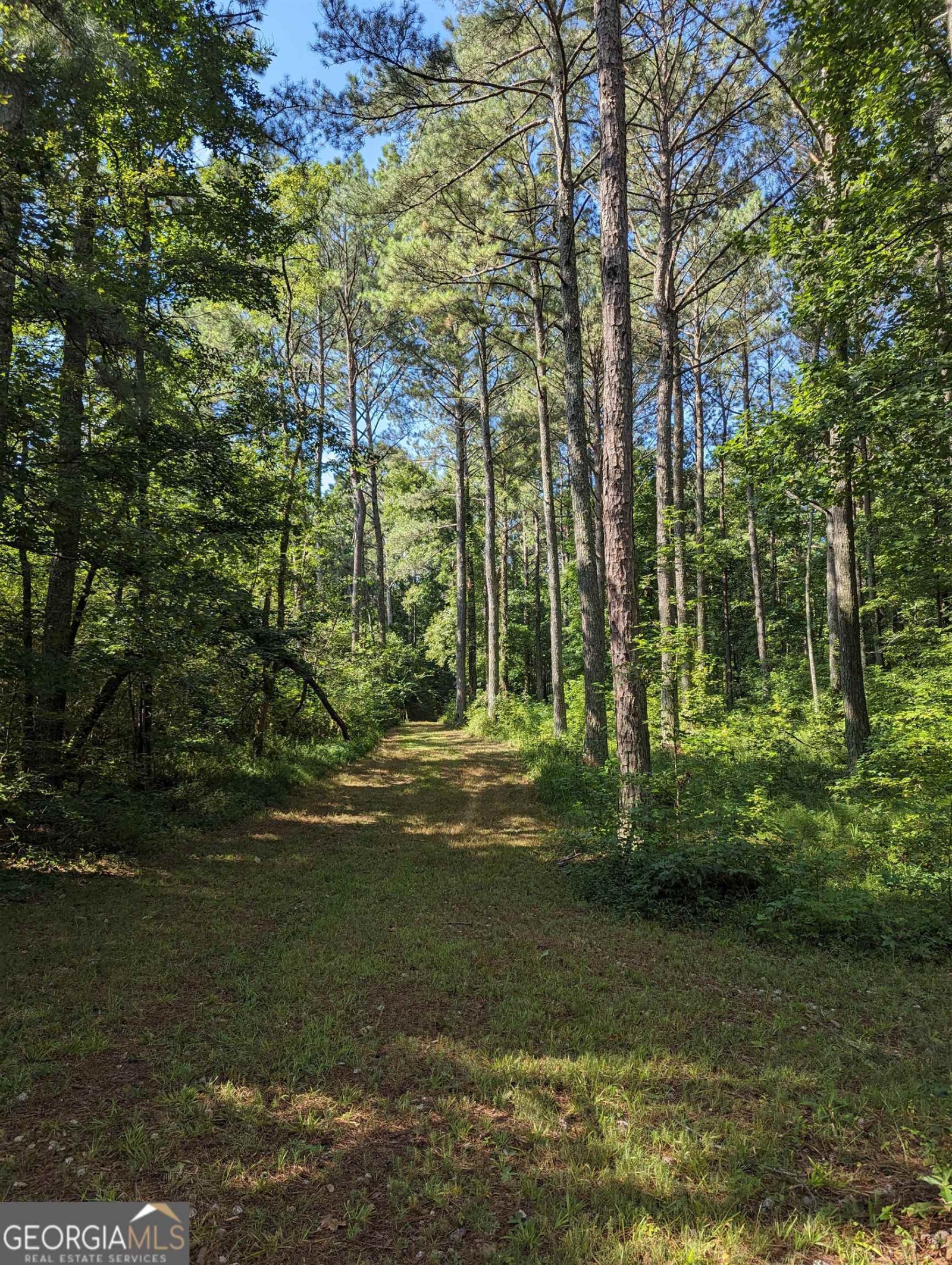 LOT 3 Joe Roberts Road, Newnan, Georgia 30263, ,Land,For Sale,Joe Roberts,9138618