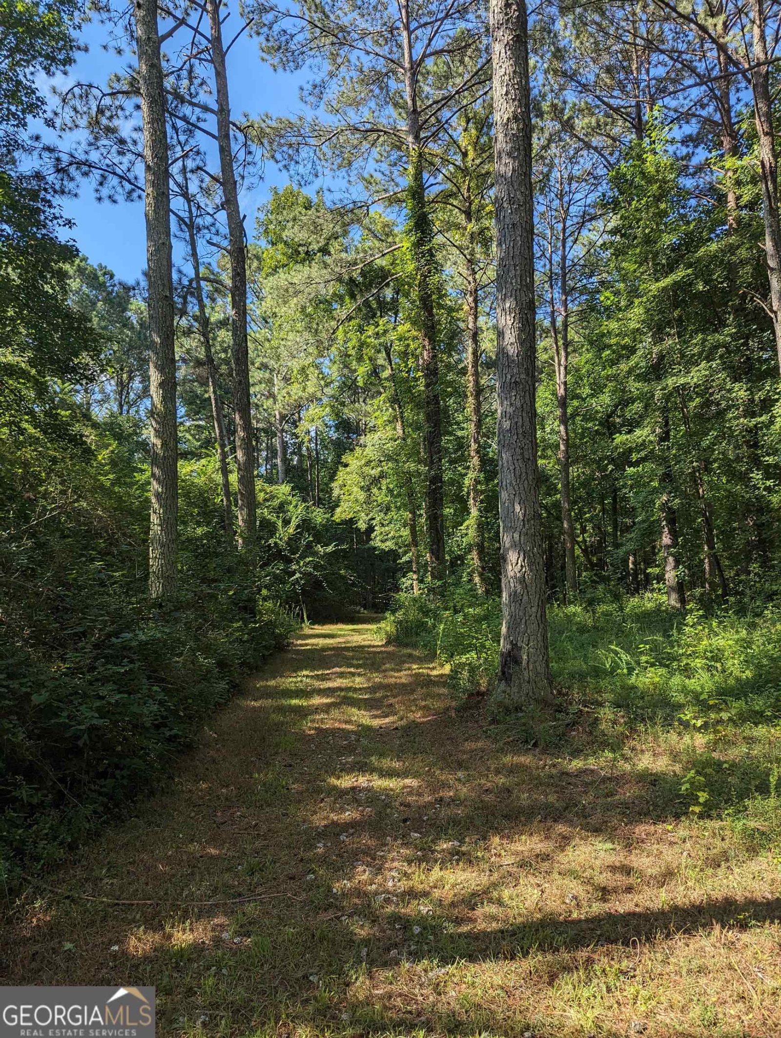 LOT 3 Joe Roberts Road, Newnan, Georgia 30263, ,Land,For Sale,Joe Roberts,9138618