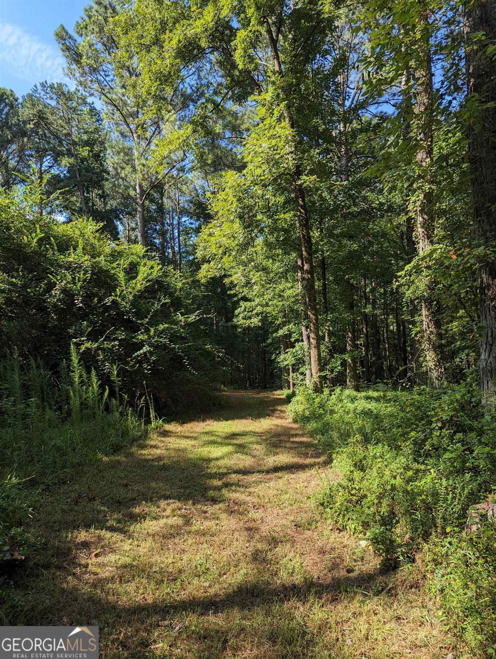 LOT 3 Joe Roberts Road, Newnan, Georgia 30263, ,Land,For Sale,Joe Roberts,9138618