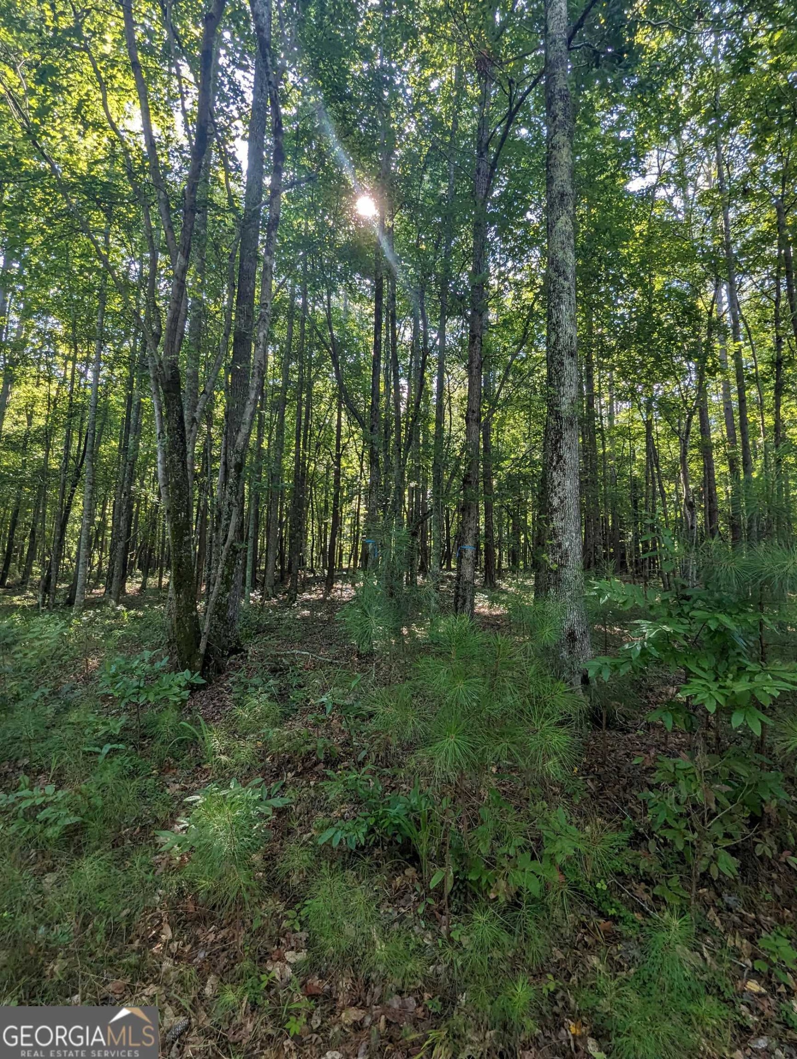 LOT 3 Joe Roberts Road, Newnan, Georgia 30263, ,Land,For Sale,Joe Roberts,9138618