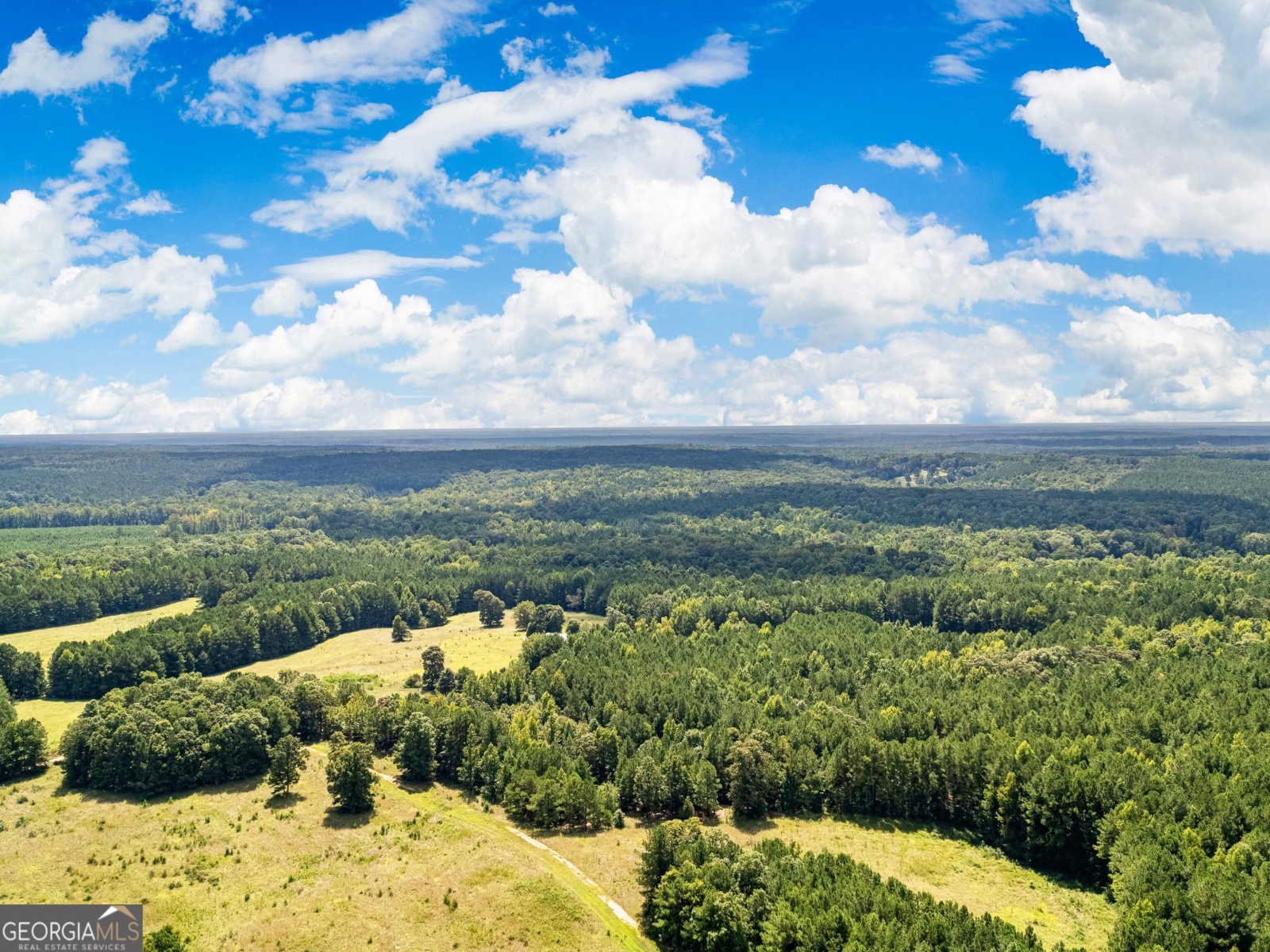 0 Tenney Nelson Road, Hogansville, Georgia 30230, ,Land,For Sale,Tenney Nelson,9138637