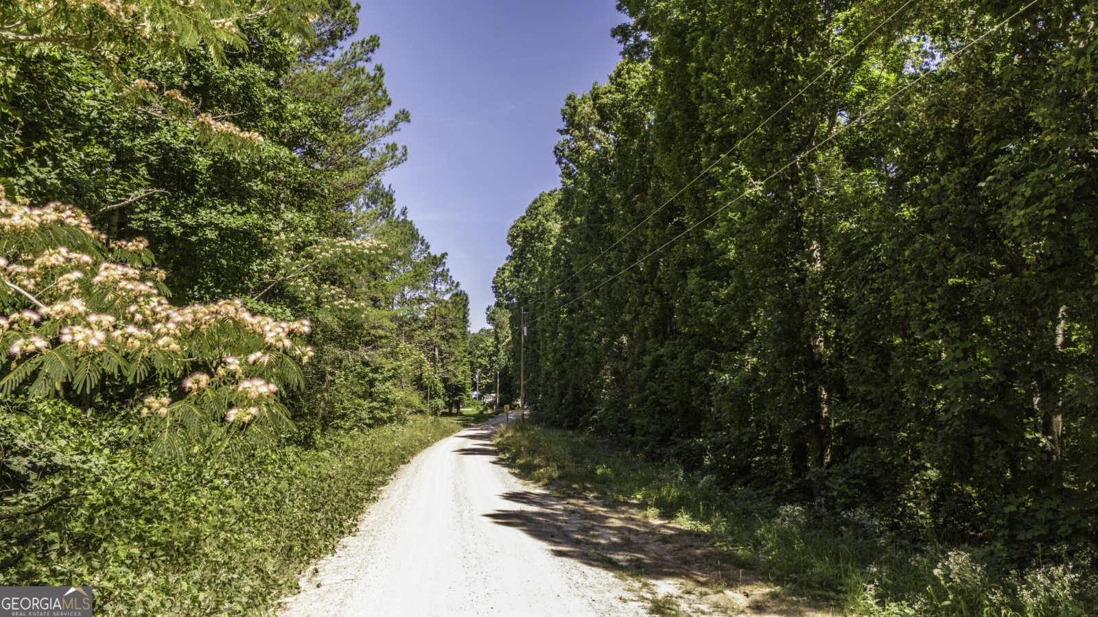 0 Chandler RD, Waco, Georgia 30182, ,Land,For Sale,Chandler RD,9138680