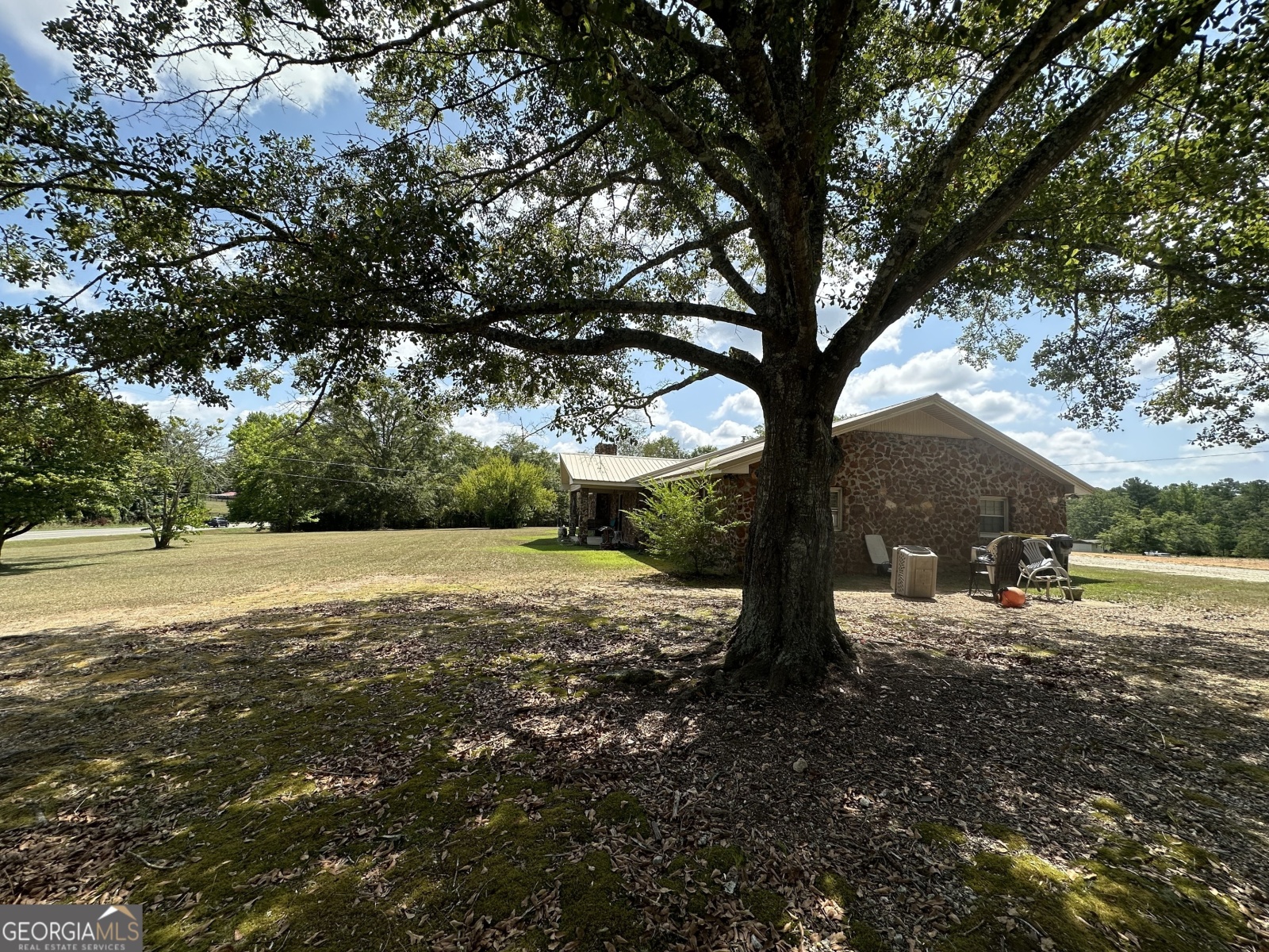 6100 White House Parkway, Warm Springs, Georgia 31830, 3 Bedrooms Bedrooms, ,33 BathroomsBathrooms,Residential,For Sale,White House,9138695