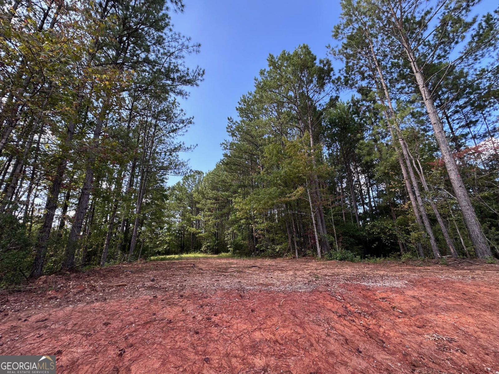 305 Blueberry Hill Lane, Franklin, Georgia 30217, 3 Bedrooms Bedrooms, ,2 BathroomsBathrooms,Residential,For Sale,Blueberry Hill,9138709