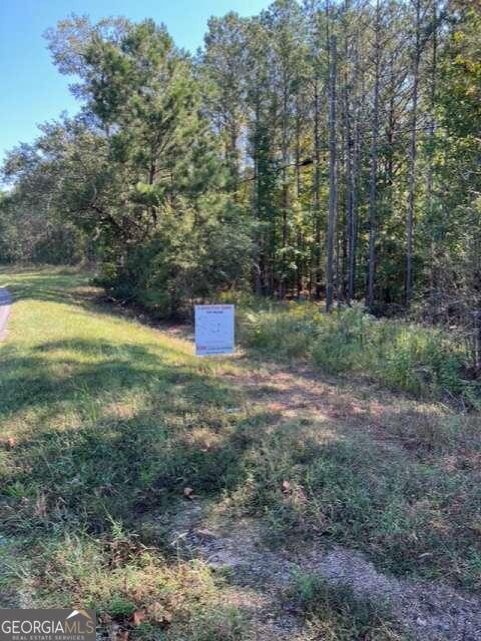 0 Spradlin Road, Franklin, Georgia 30217, ,Land,For Sale,Spradlin,9138780