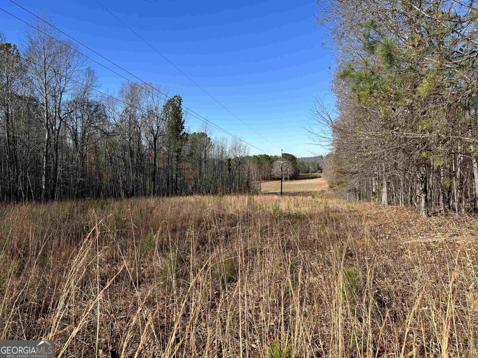 0 Budapest Road, Tallapoosa, Georgia 30176, ,Land,For Sale,Budapest,9138816