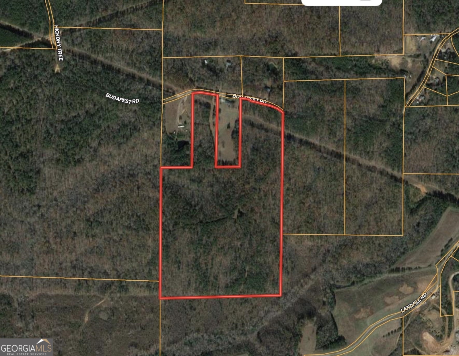 0 Budapest Road, Tallapoosa, Georgia 30176, ,Land,For Sale,Budapest,9138816