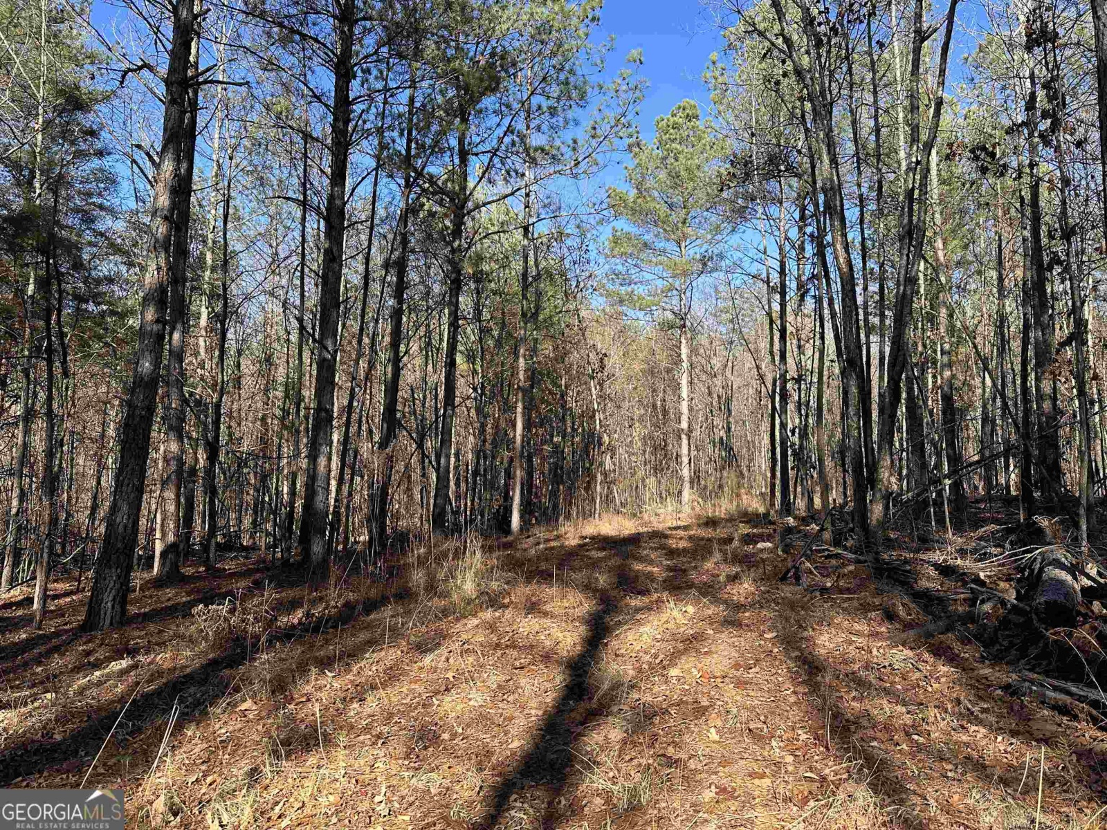 0 Budapest Road, Tallapoosa, Georgia 30176, ,Land,For Sale,Budapest,9138816