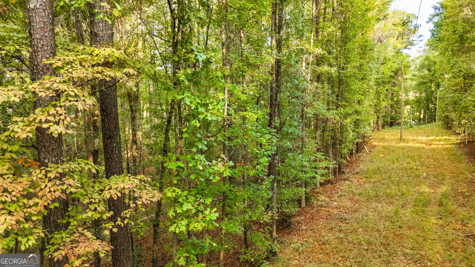 LOT 12 Meadowlark Drive, Fayetteville, Georgia 30214, ,Land,For Sale,Meadowlark,9138865