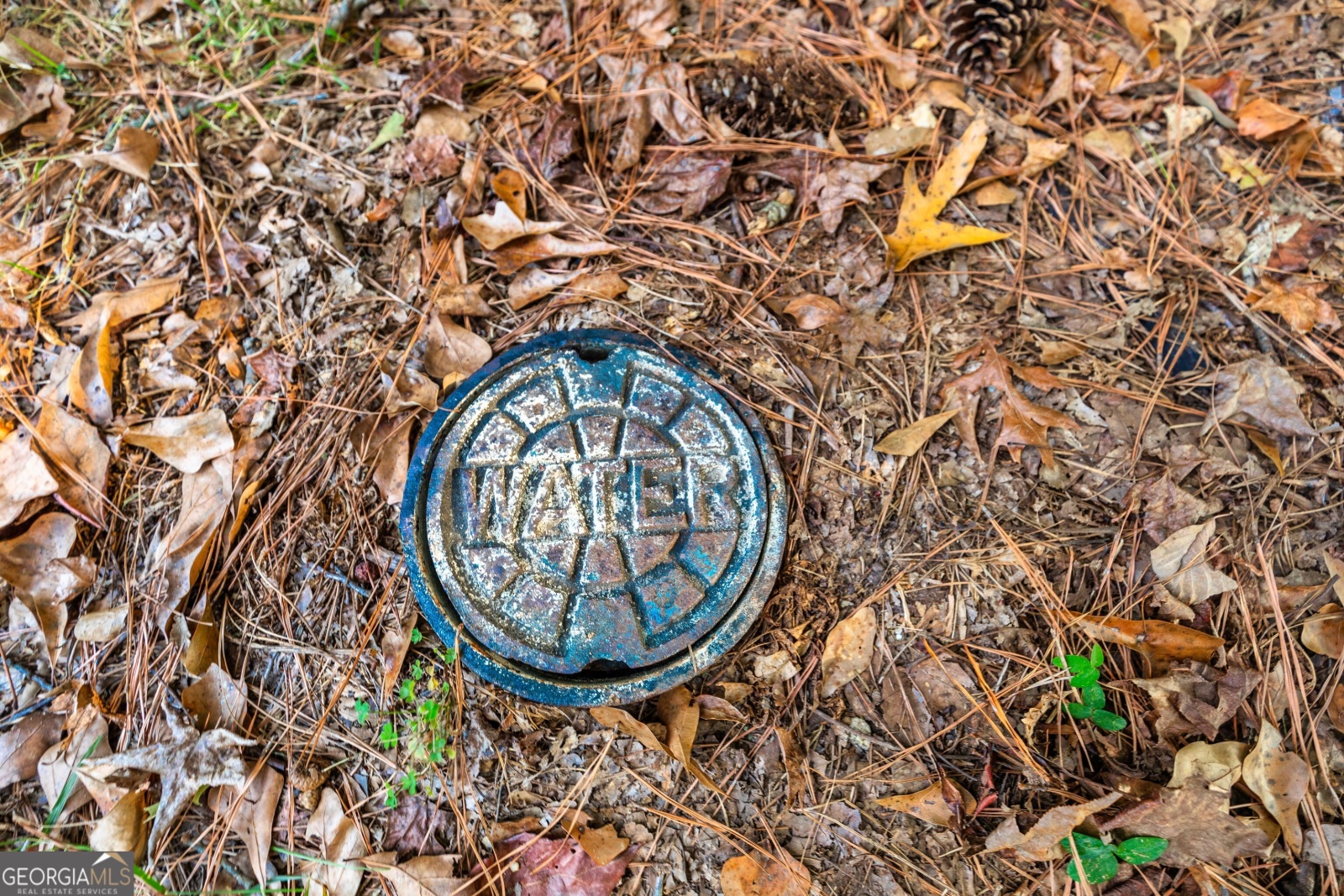 LOT 12 Meadowlark Drive, Fayetteville, Georgia 30214, ,Land,For Sale,Meadowlark,9138865