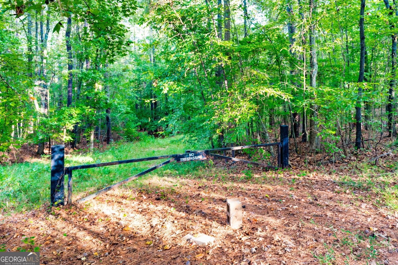 LOT 12 Meadowlark Drive, Fayetteville, Georgia 30214, ,Land,For Sale,Meadowlark,9138865