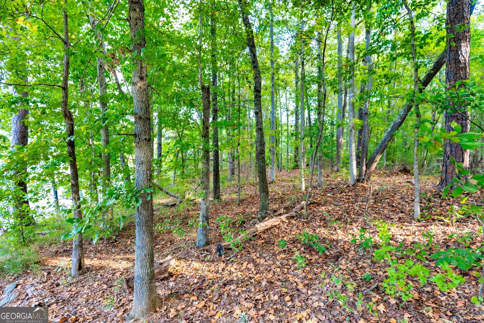 LOT 12 Meadowlark Drive, Fayetteville, Georgia 30214, ,Land,For Sale,Meadowlark,9138865