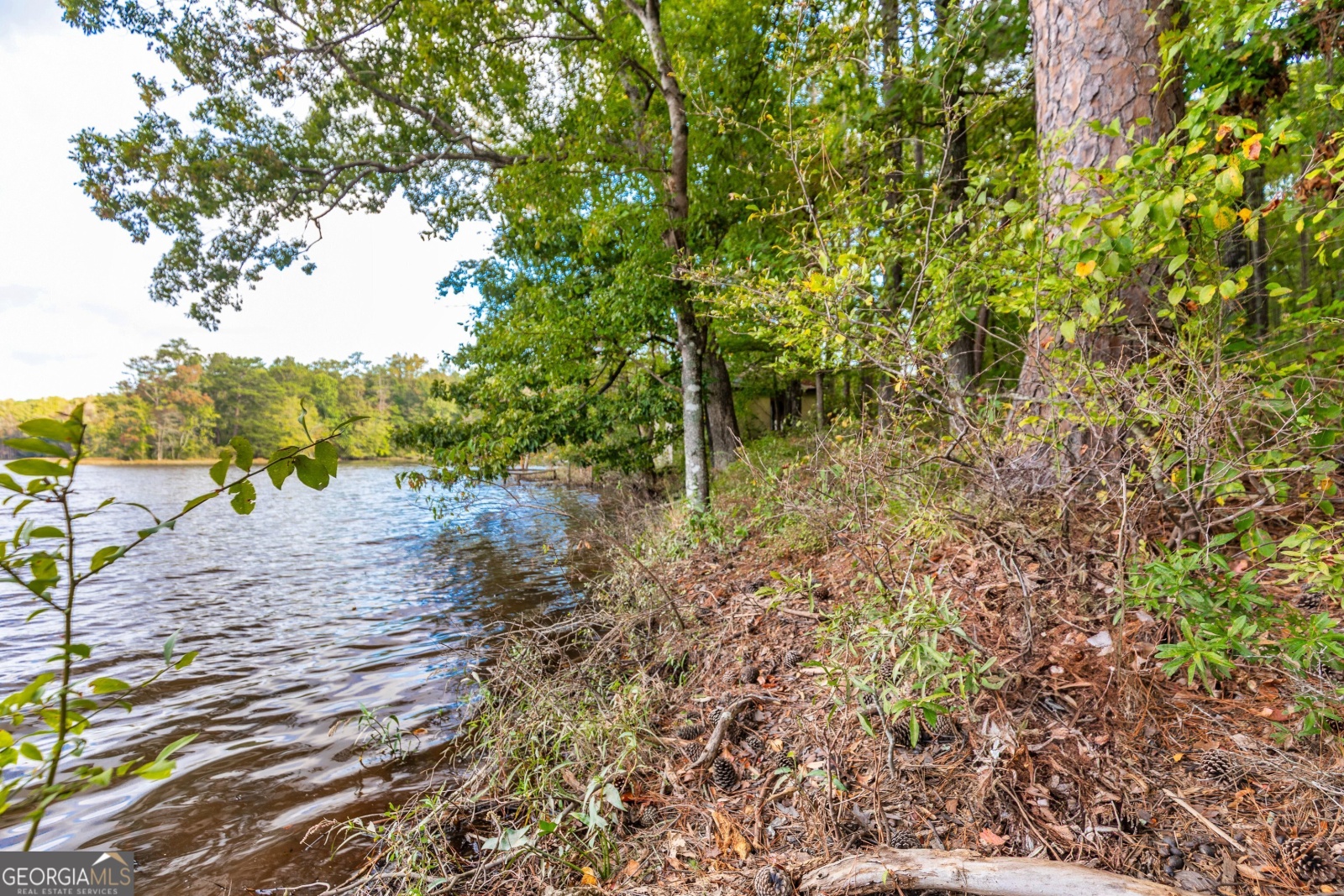 LOT 12 Meadowlark Drive, Fayetteville, Georgia 30214, ,Land,For Sale,Meadowlark,9138865