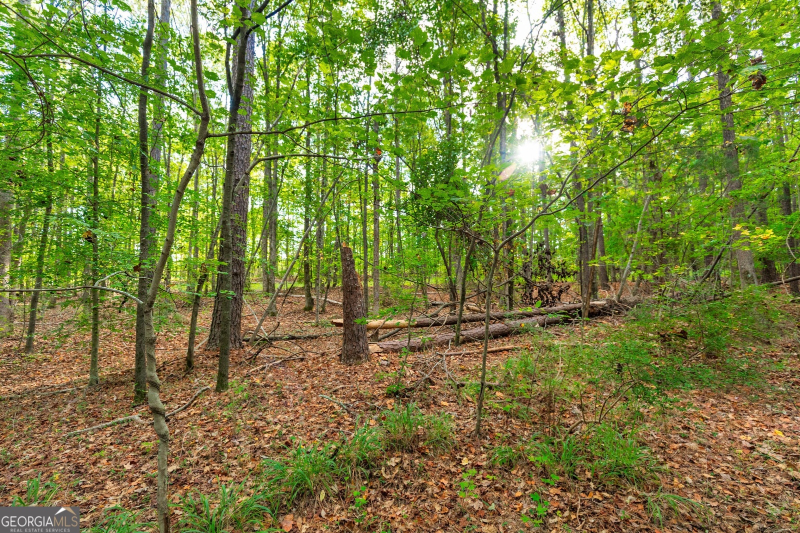 LOT 12 Meadowlark Drive, Fayetteville, Georgia 30214, ,Land,For Sale,Meadowlark,9138865