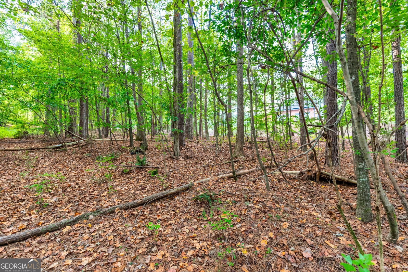 LOT 12 Meadowlark Drive, Fayetteville, Georgia 30214, ,Land,For Sale,Meadowlark,9138865