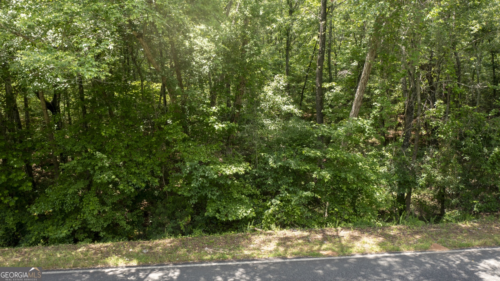 0 Shirey Road, Manchester, Georgia 31816, ,Land,For Sale,Shirey,9138867