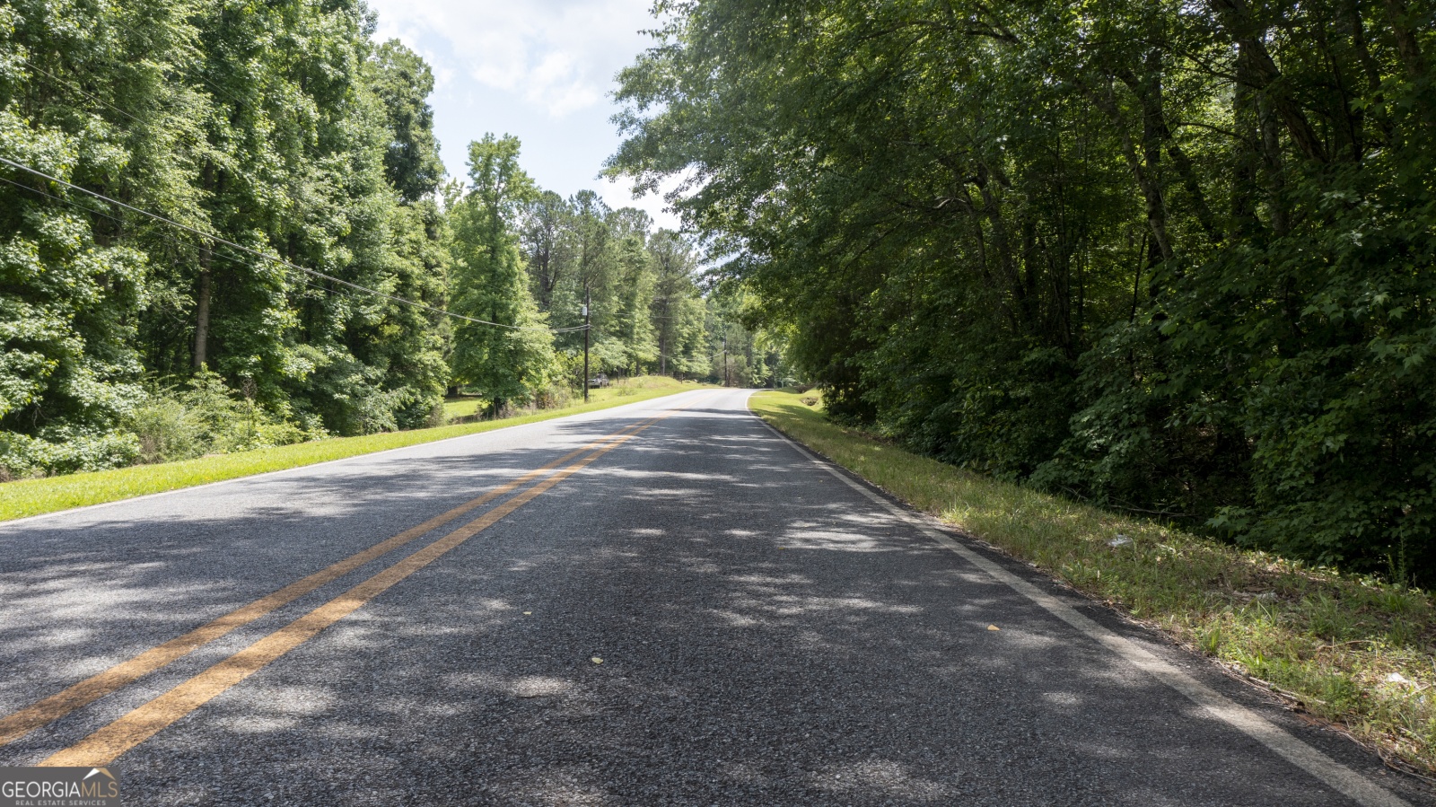 0 Shirey Road, Manchester, Georgia 31816, ,Land,For Sale,Shirey,9138867