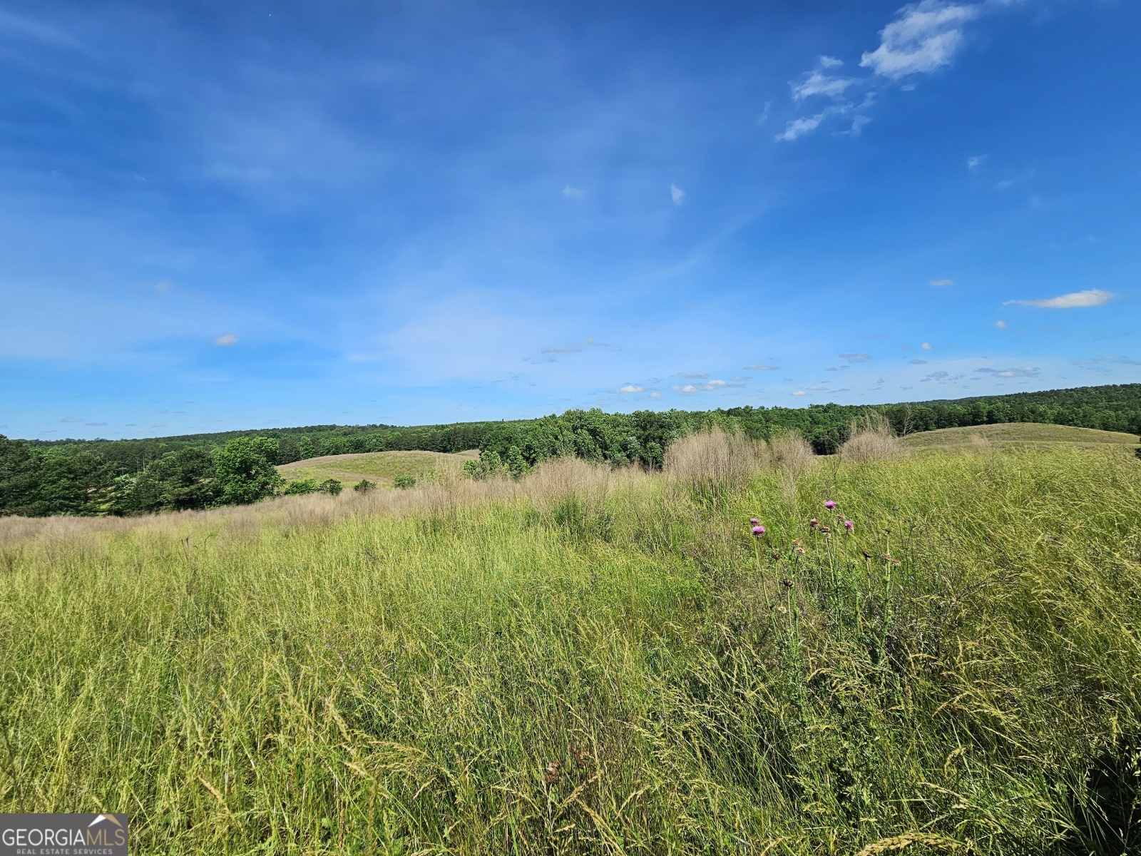 0 Hyatt Road, Franklin, Georgia 30217, ,Land,For Sale,Hyatt Road,9138899