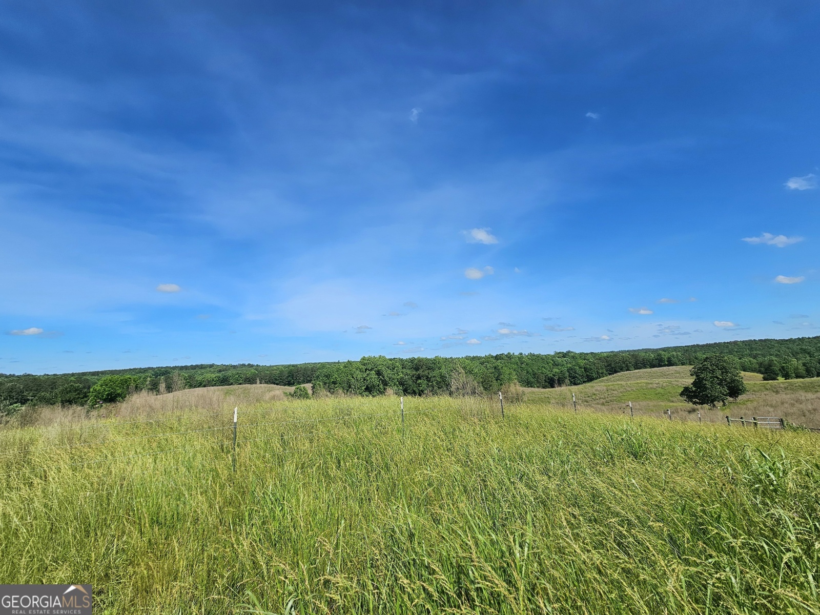 0 Hyatt Road, Franklin, Georgia 30217, ,Land,For Sale,Hyatt Road,9138899