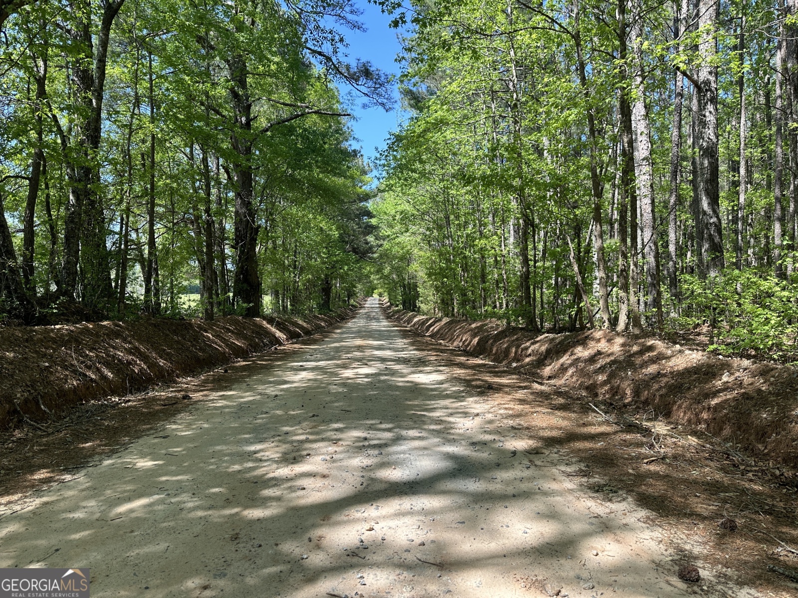 0 Alexander Road, Gay, Georgia 30218, ,Land,For Sale,Alexander,9138925