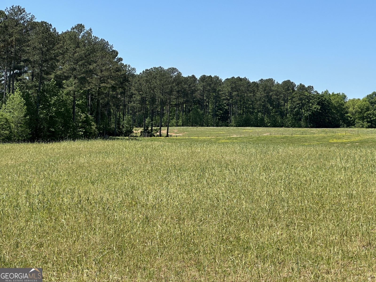 0 Alexander Road, Gay, Georgia 30218, ,Land,For Sale,Alexander,9138925