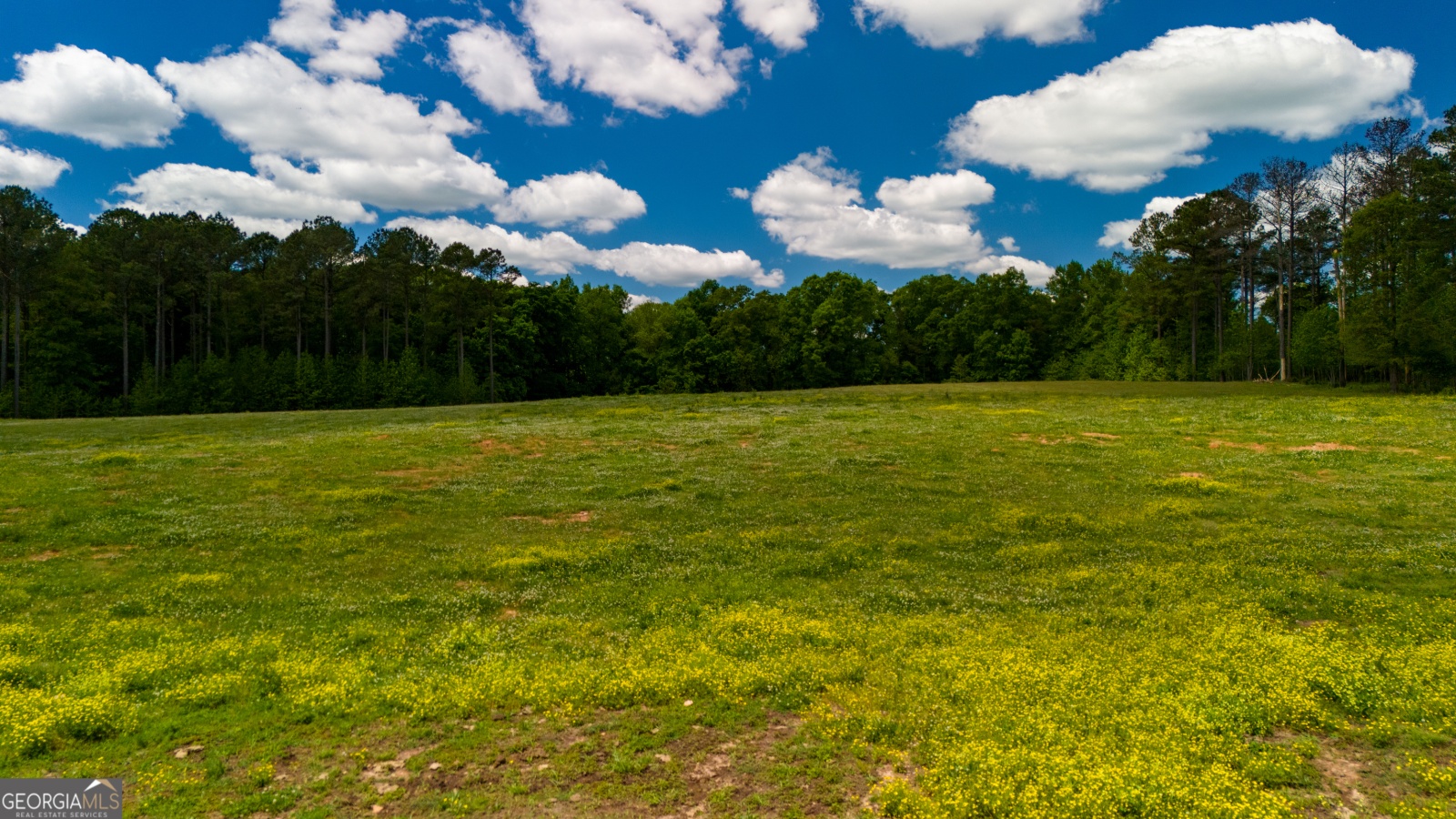 0 Alexander Road, Gay, Georgia 30218, ,Land,For Sale,Alexander,9138925