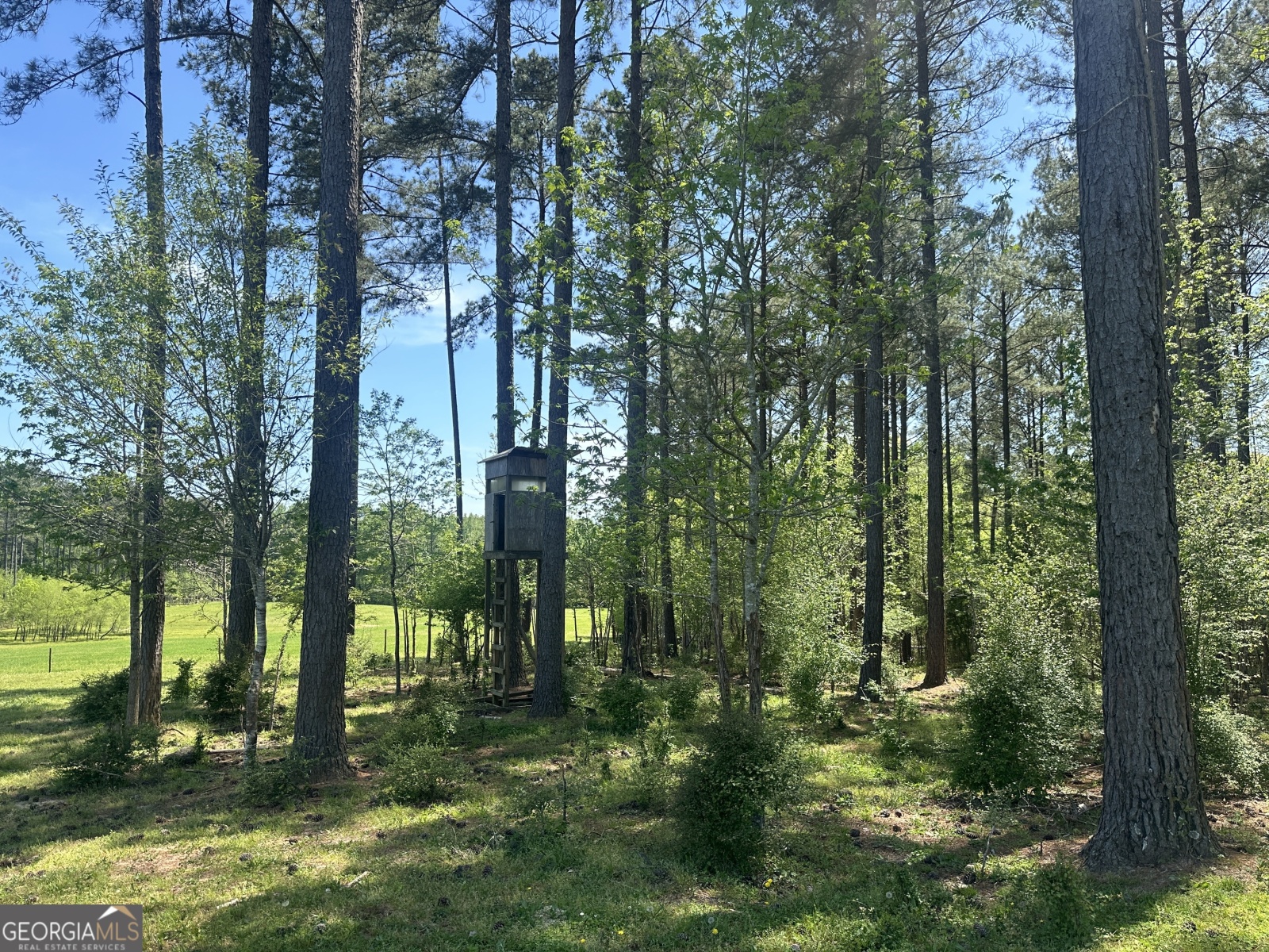 0 Alexander Road, Gay, Georgia 30218, ,Land,For Sale,Alexander,9138925