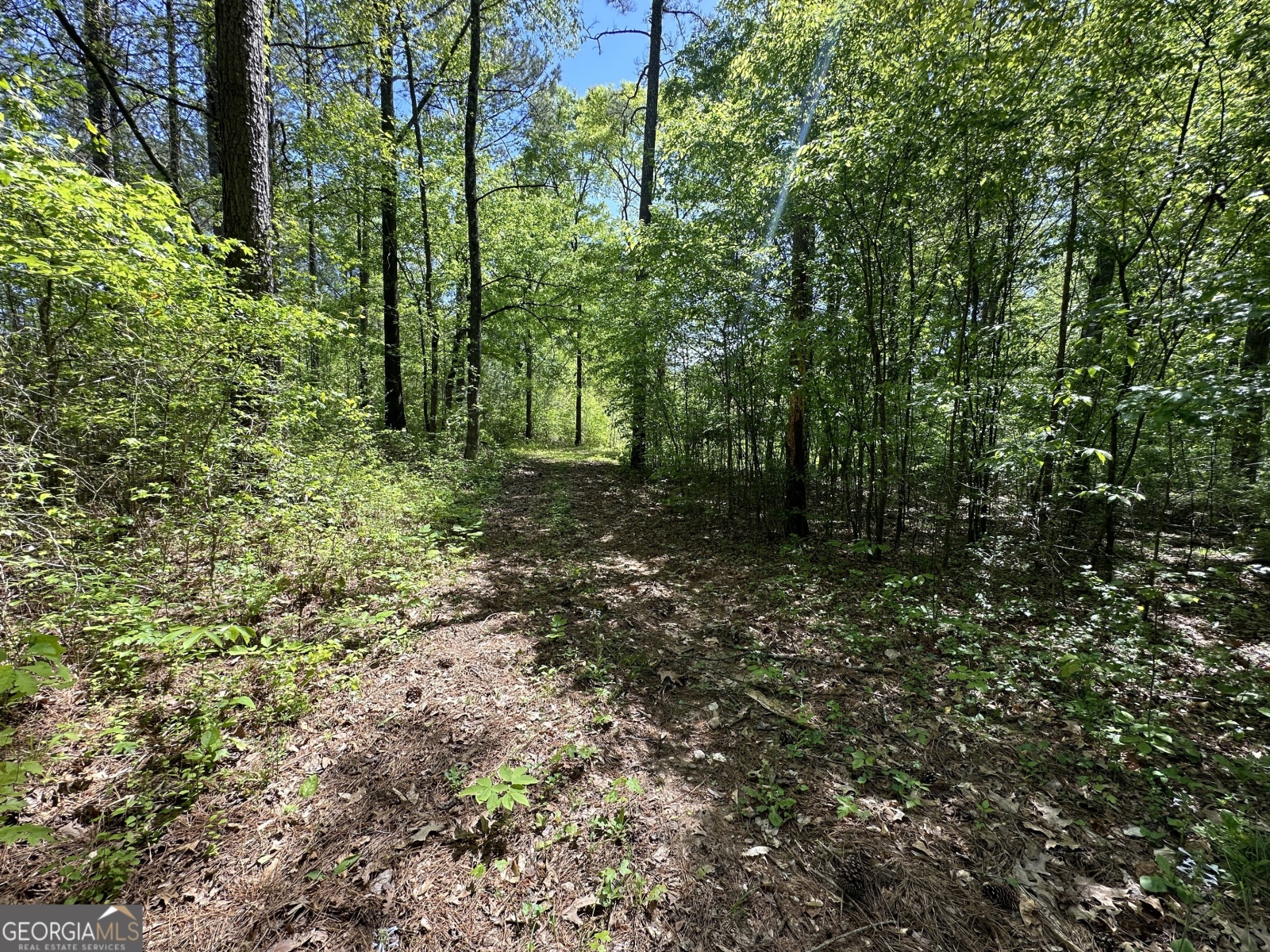 0 Alexander Road, Gay, Georgia 30218, ,Land,For Sale,Alexander,9138925