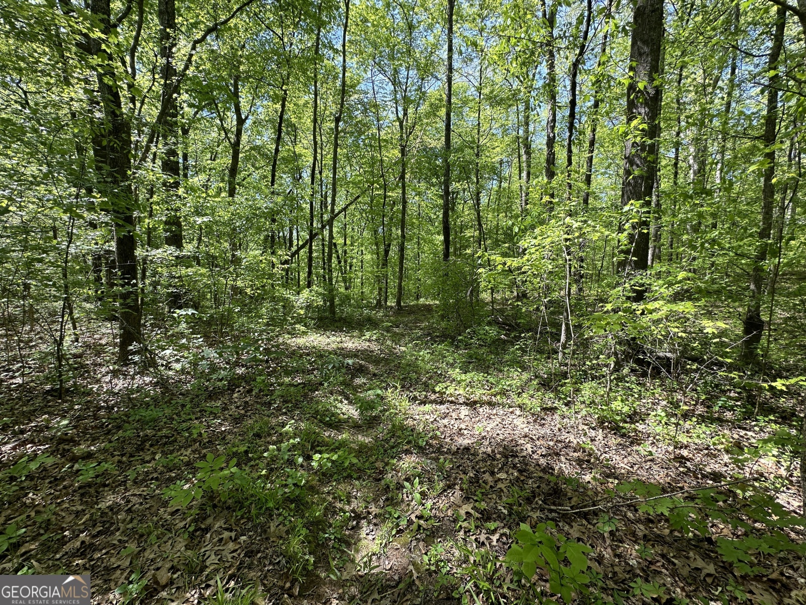 0 Alexander Road, Gay, Georgia 30218, ,Land,For Sale,Alexander,9138925