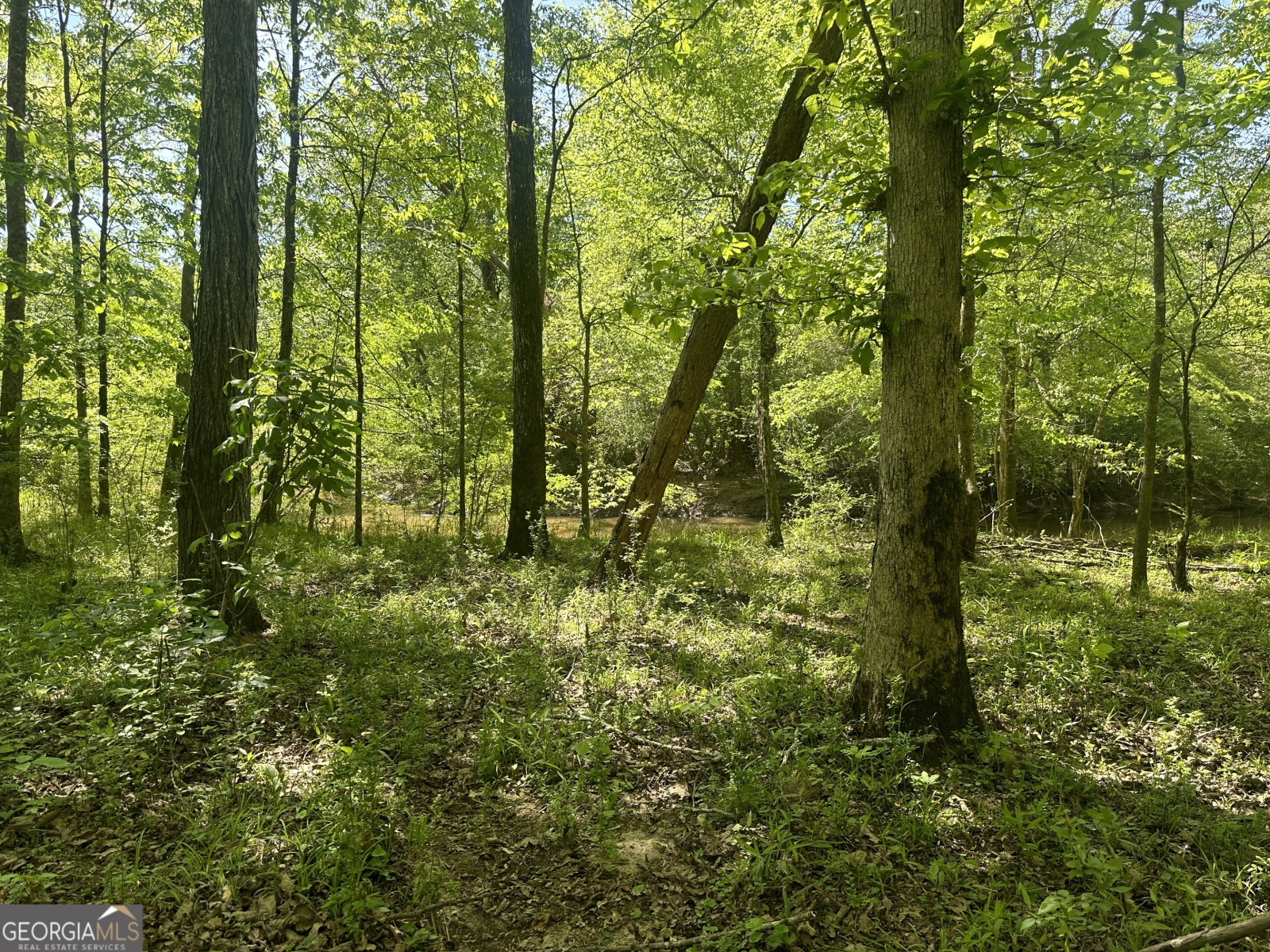 0 Alexander Road, Gay, Georgia 30218, ,Land,For Sale,Alexander,9138925