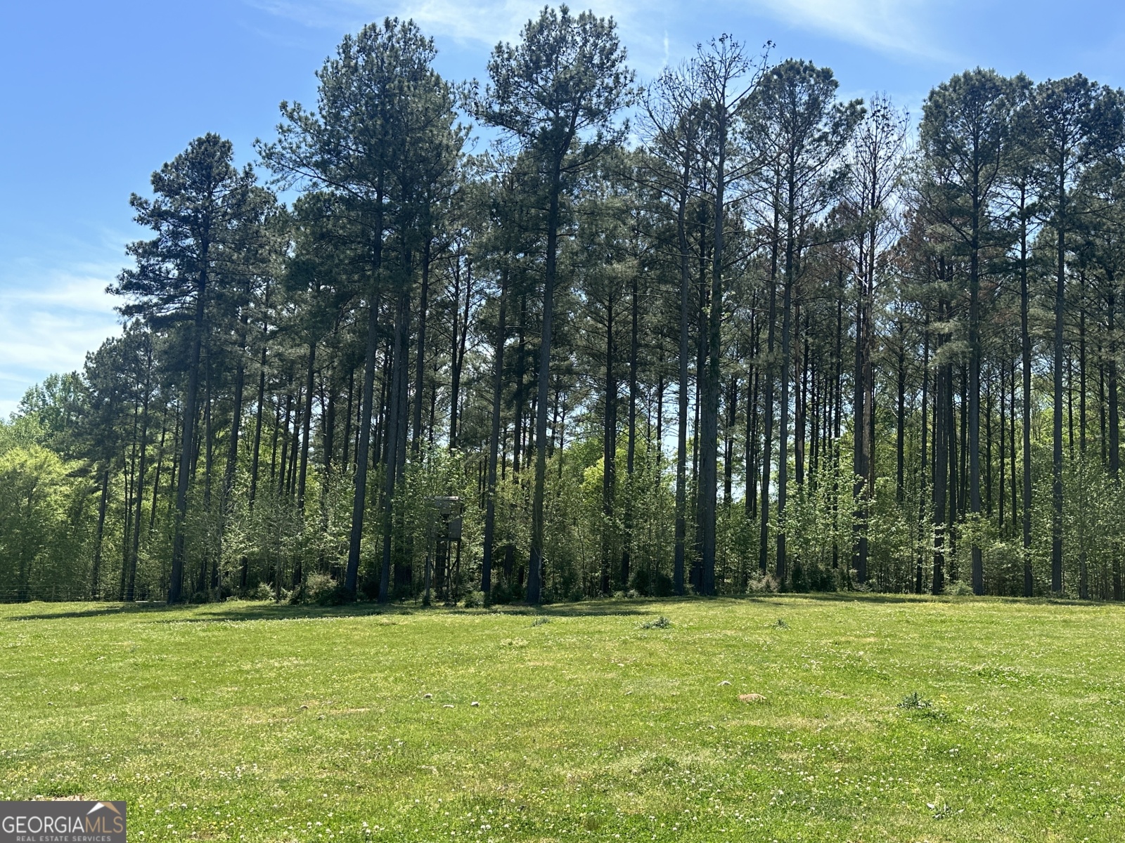 0 Alexander Road, Gay, Georgia 30218, ,Land,For Sale,Alexander,9138925