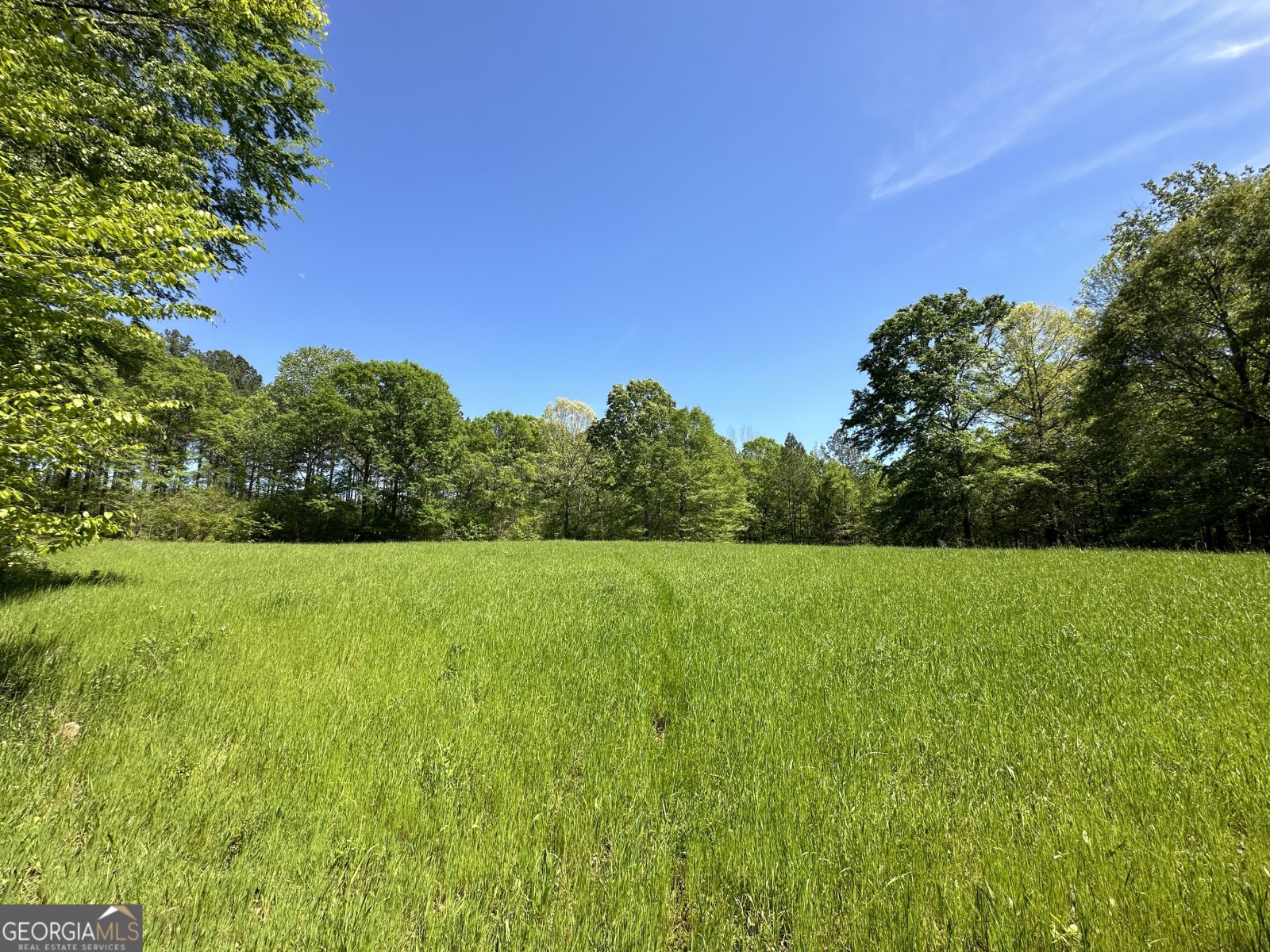 0 Alexander Road, Gay, Georgia 30218, ,Land,For Sale,Alexander,9138925