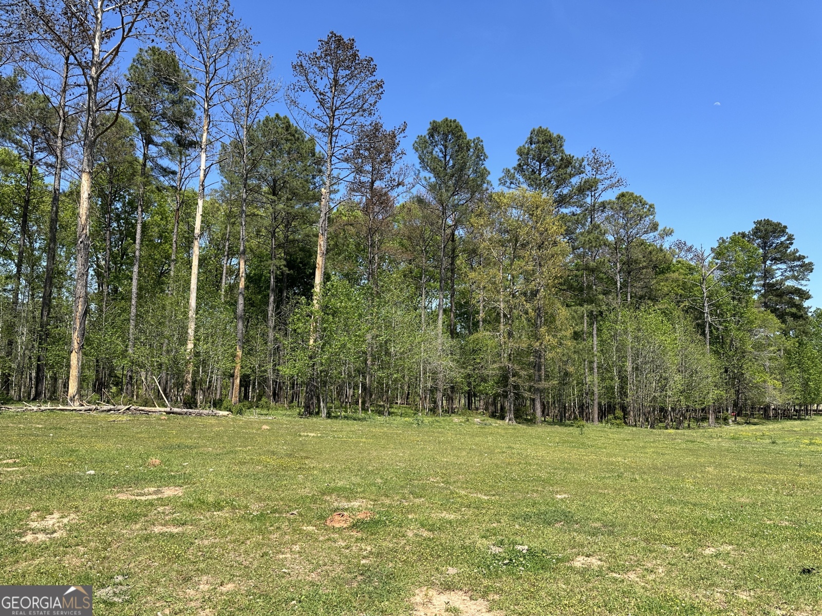 0 Alexander Road, Gay, Georgia 30218, ,Land,For Sale,Alexander,9138925