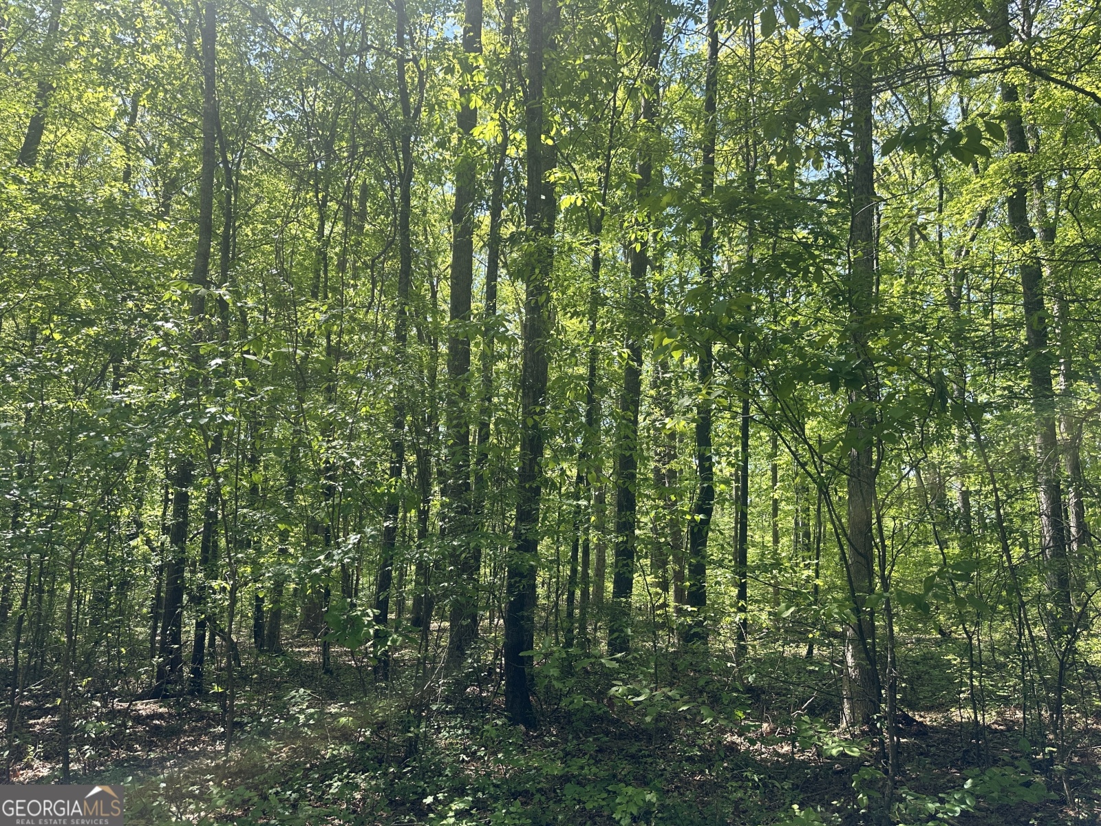 0 Alexander Road, Gay, Georgia 30218, ,Land,For Sale,Alexander,9138925